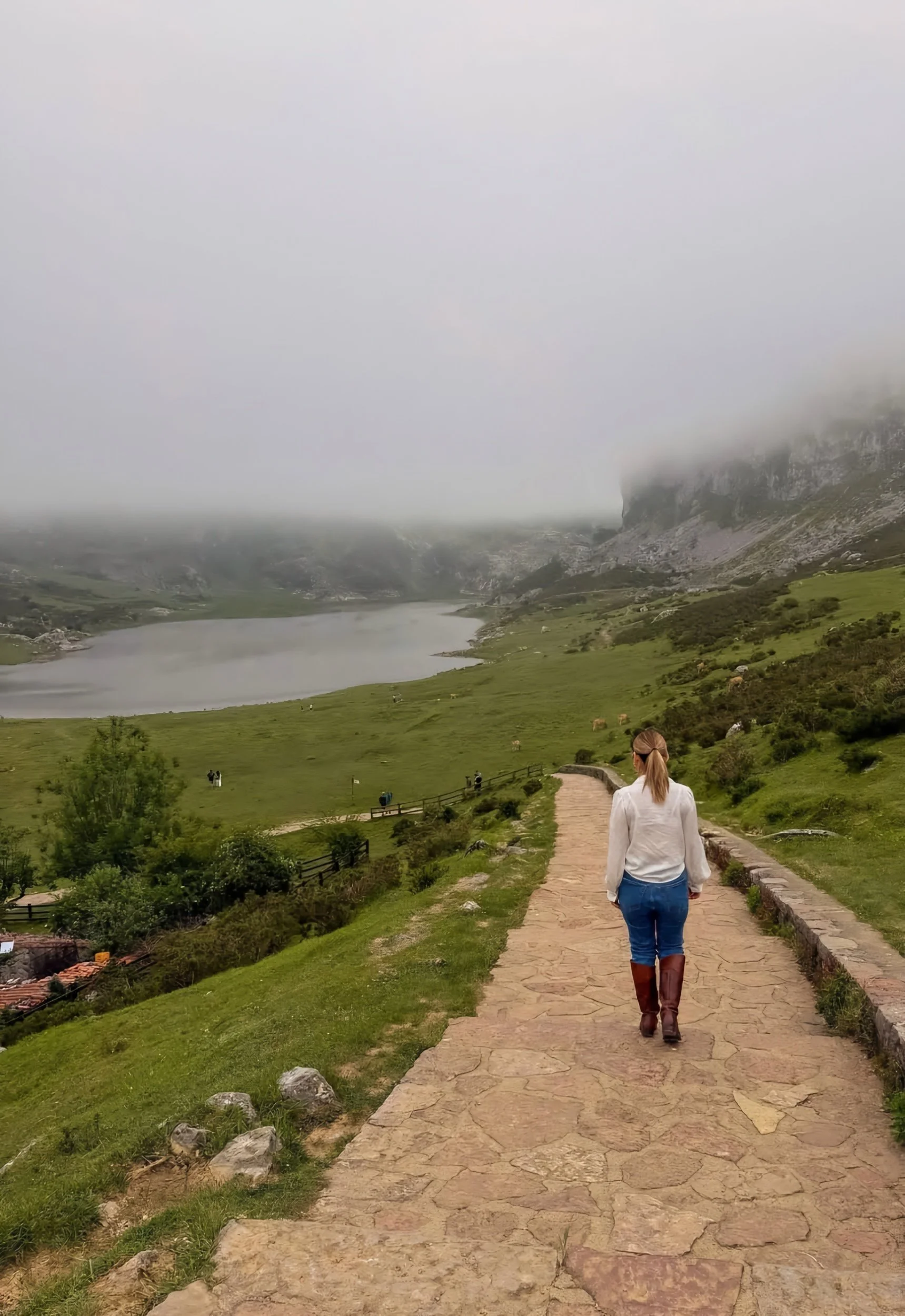 nature in northern spain