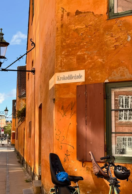 Krokodilgade Copenhagen