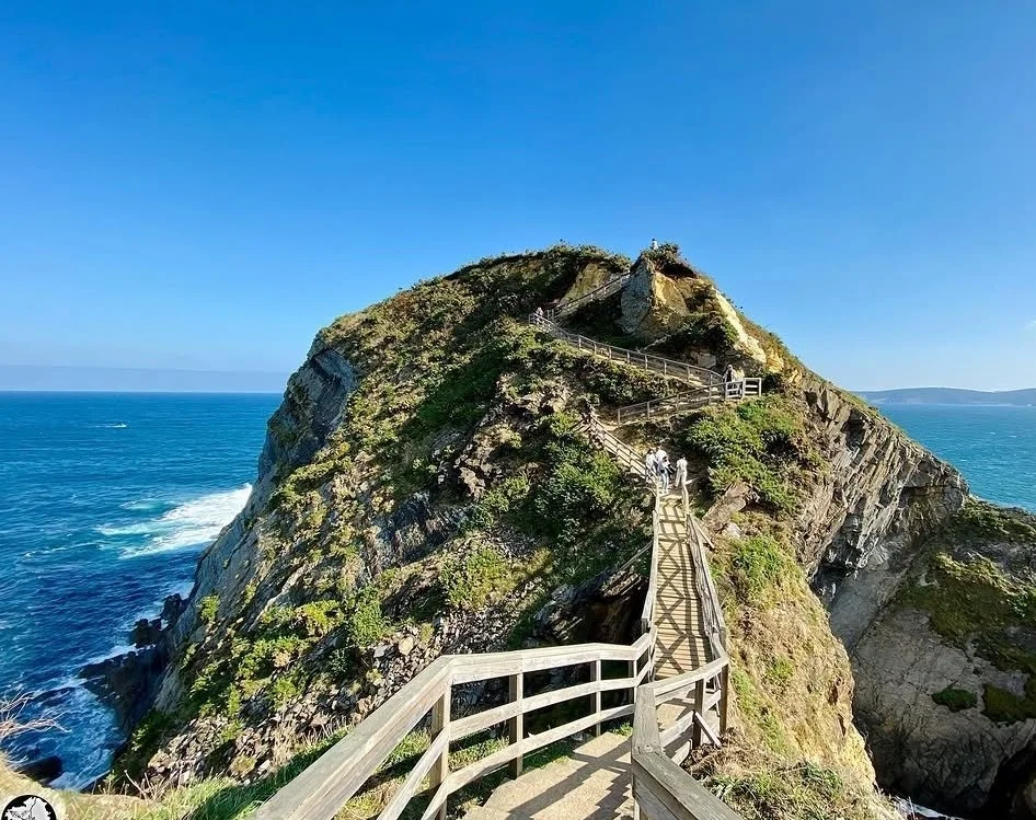 Viveiro path