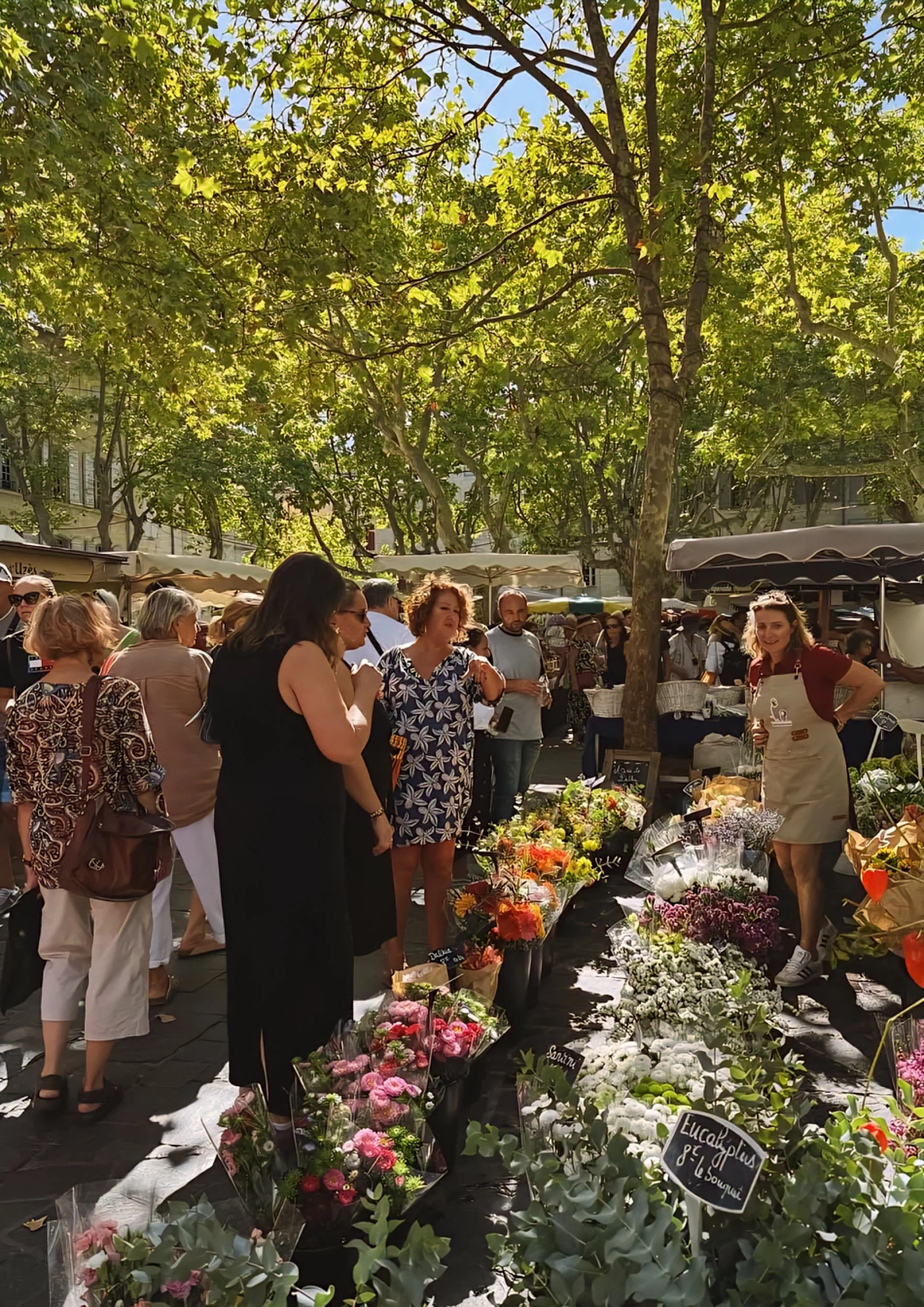 flower stand at Uzès Market Days