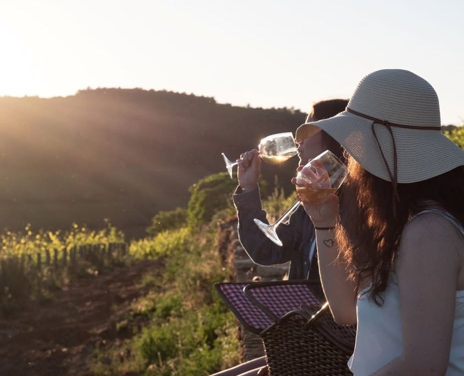 wine tasting beaune.jpg