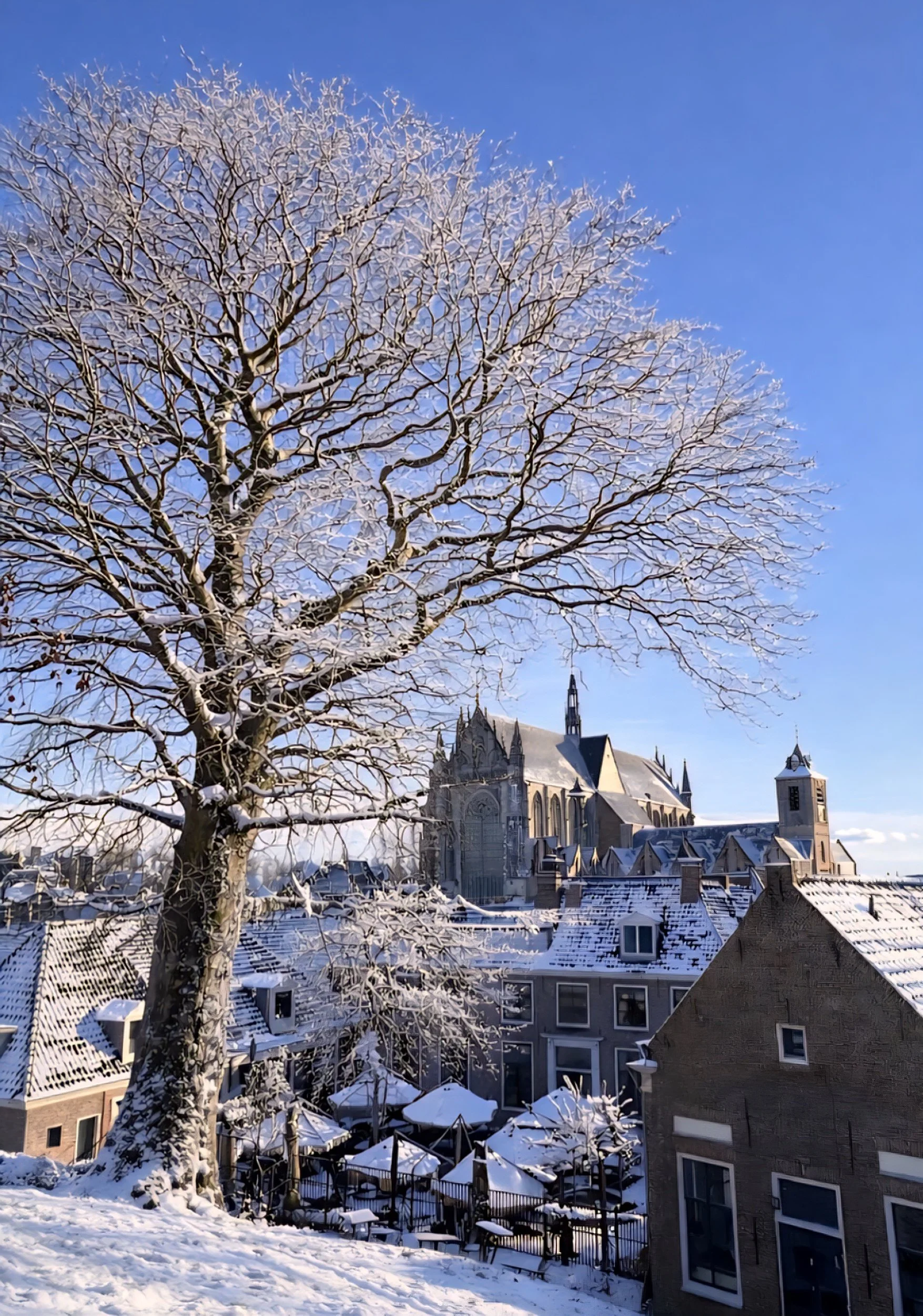 Leiden in winter