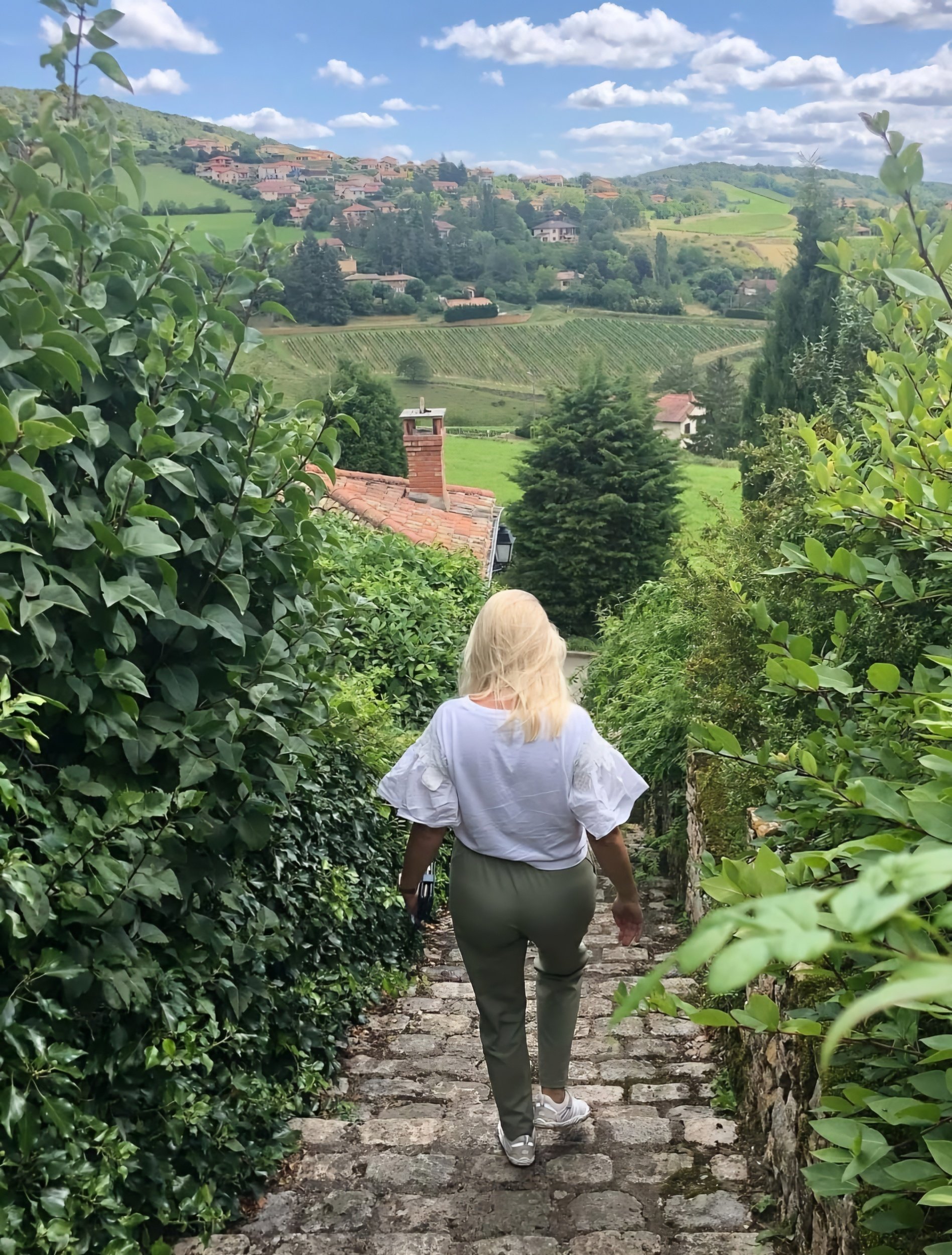 vineyard walk in france