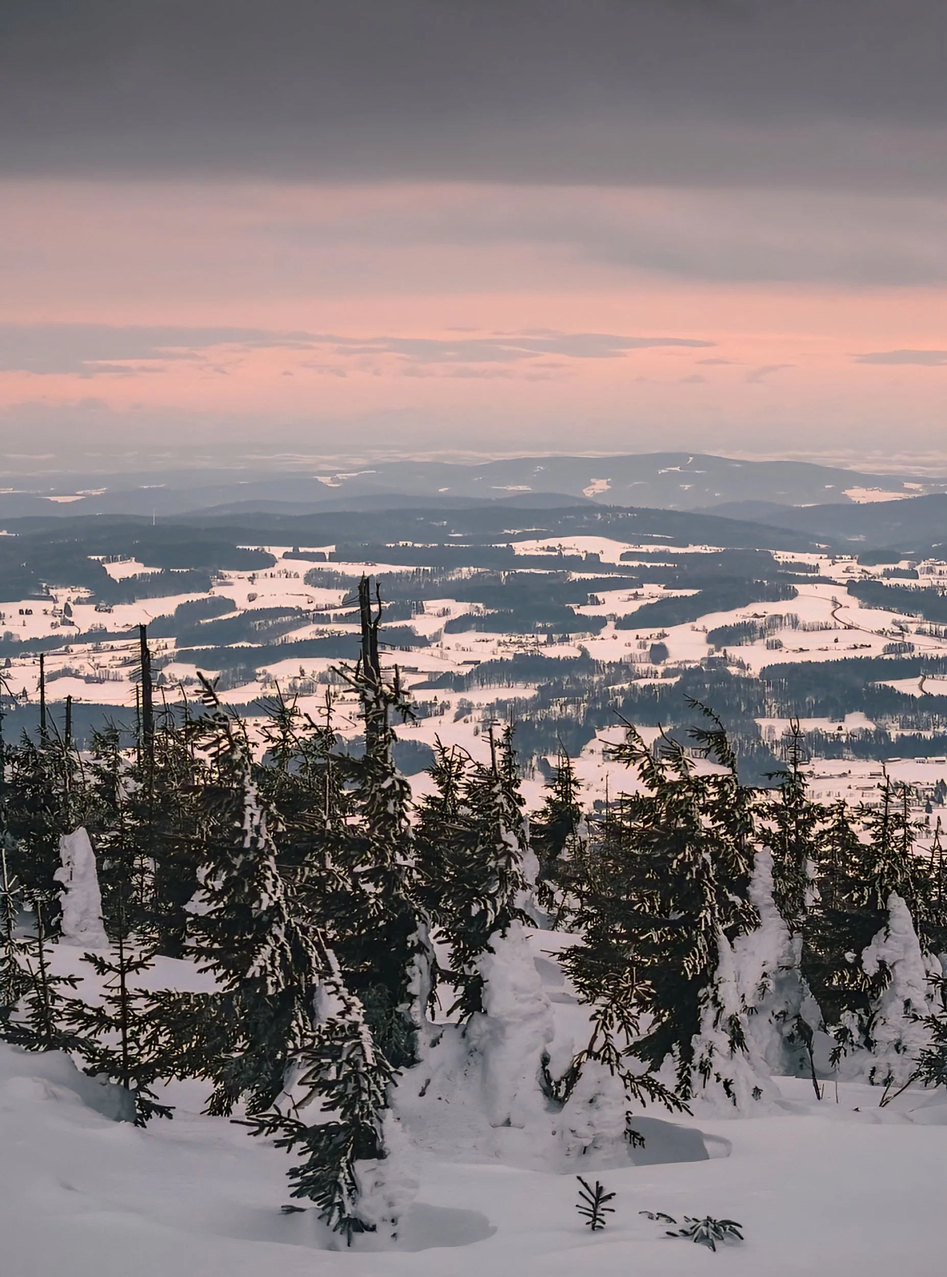 Bohemian forest view