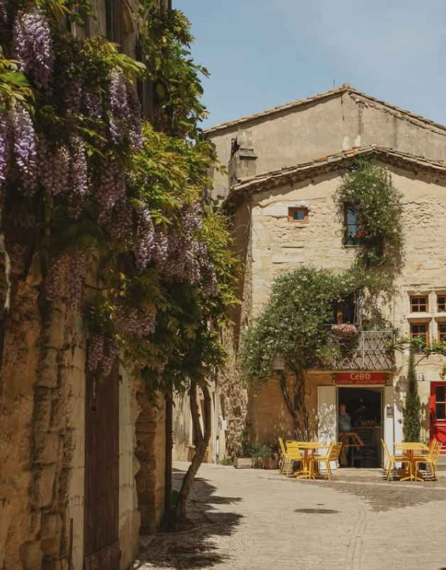 Uzès street flowers architecture