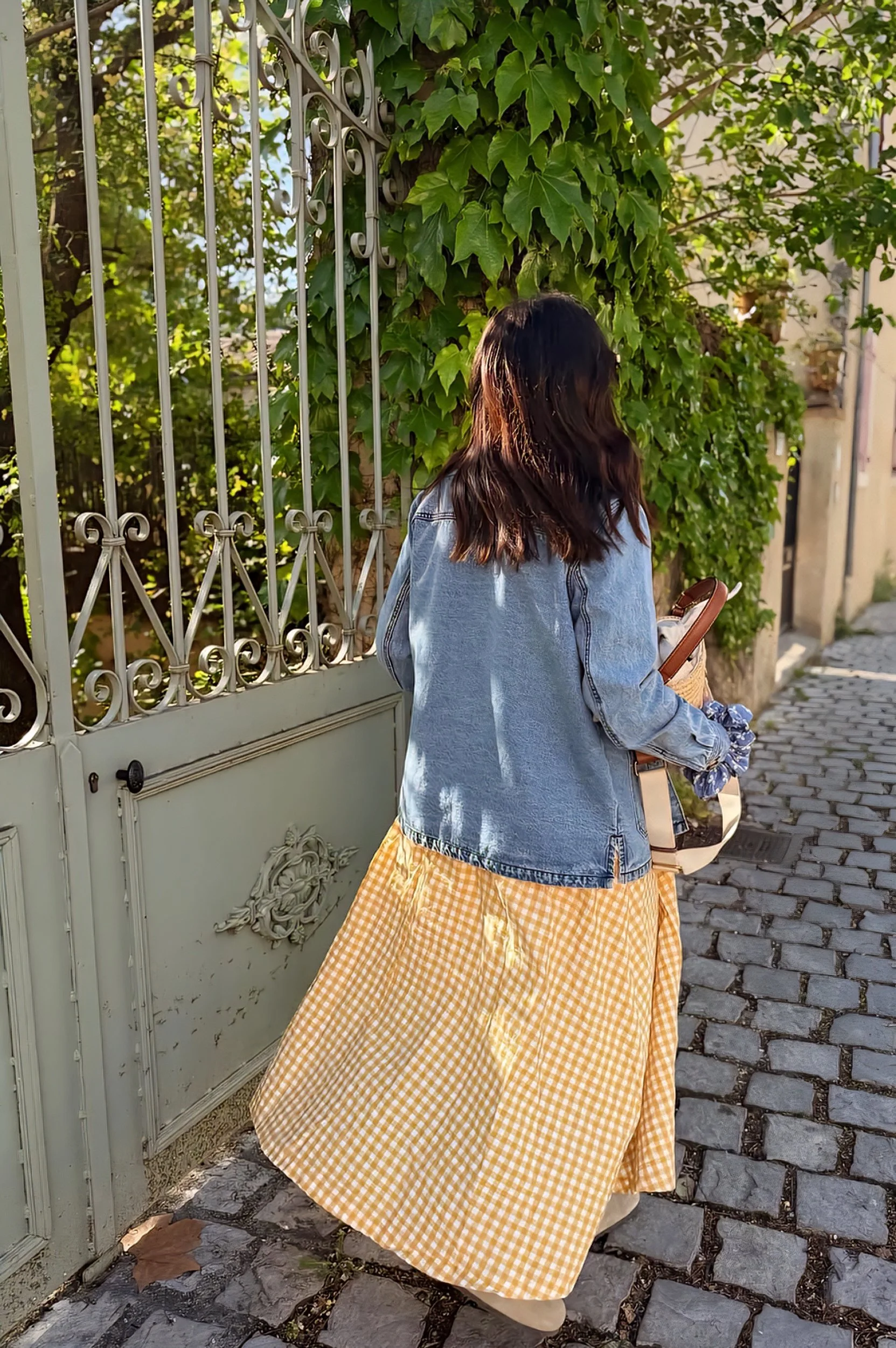 vichy street