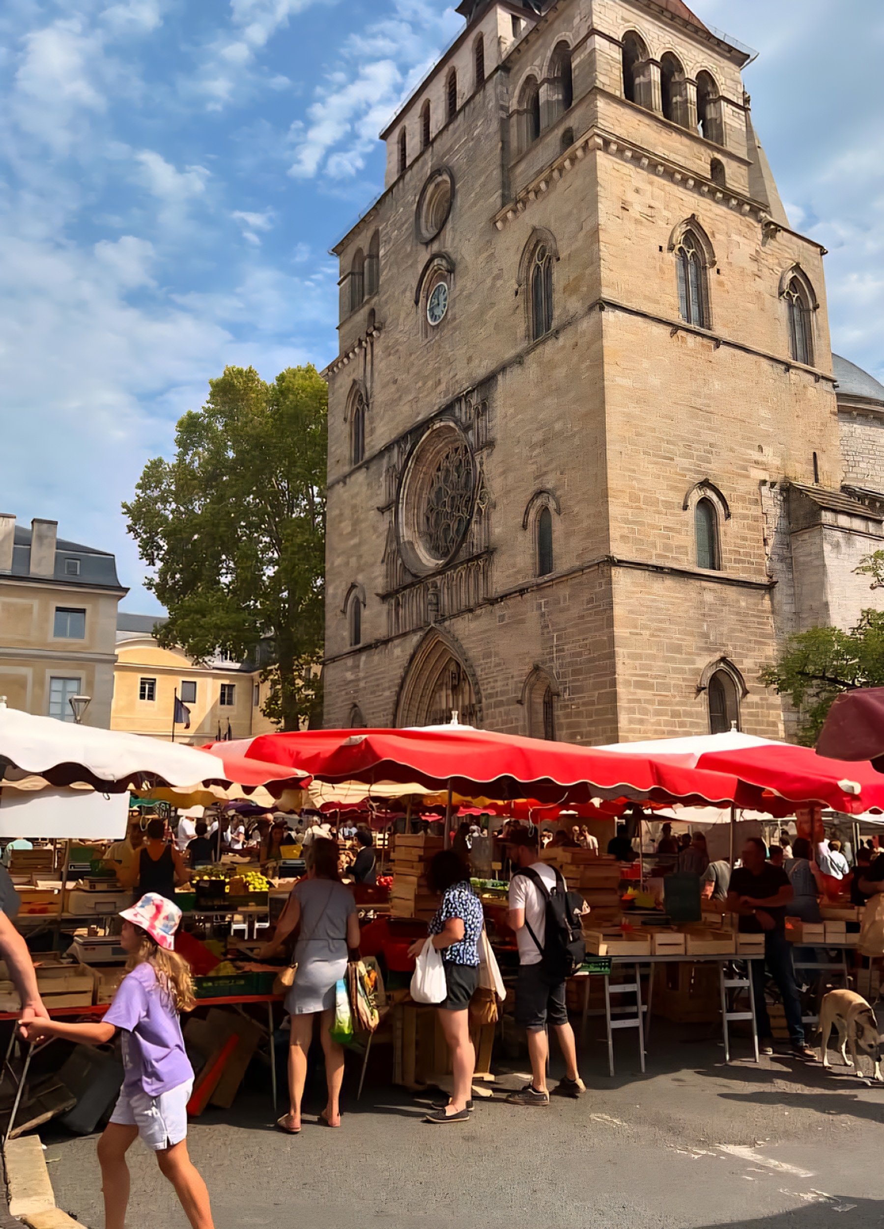 winter truffle market