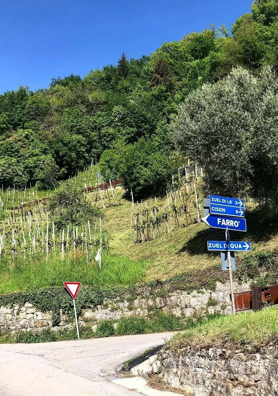 cison, italy street signs