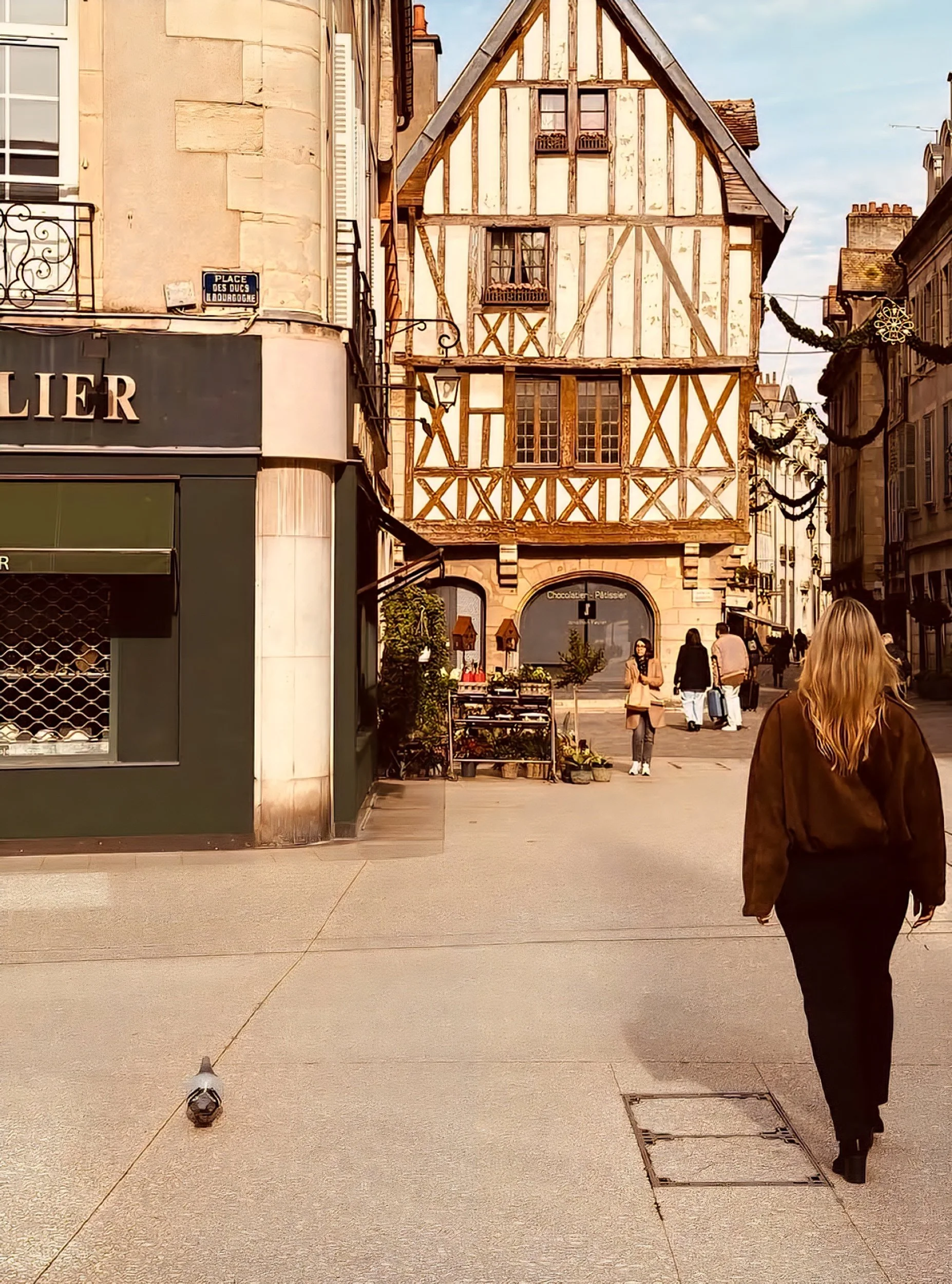 dijon town .jpg