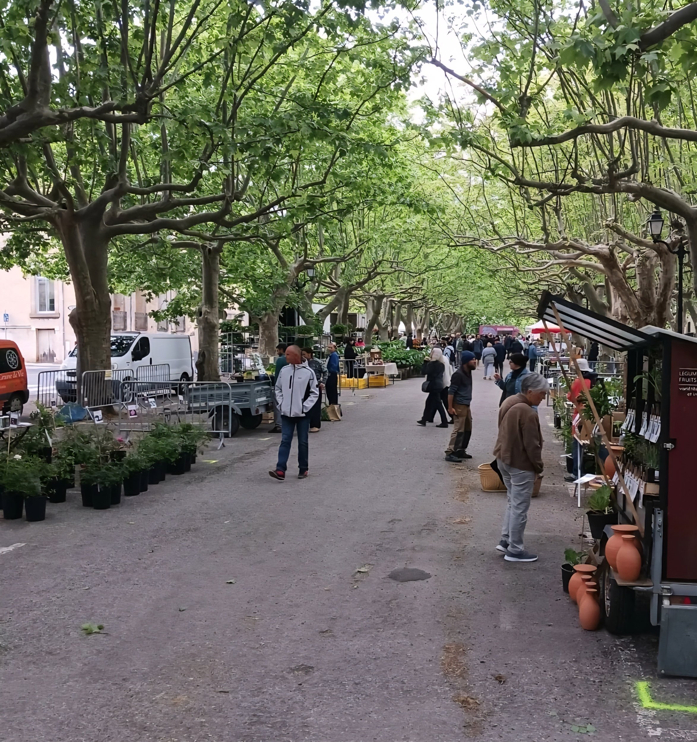 market in Lodève