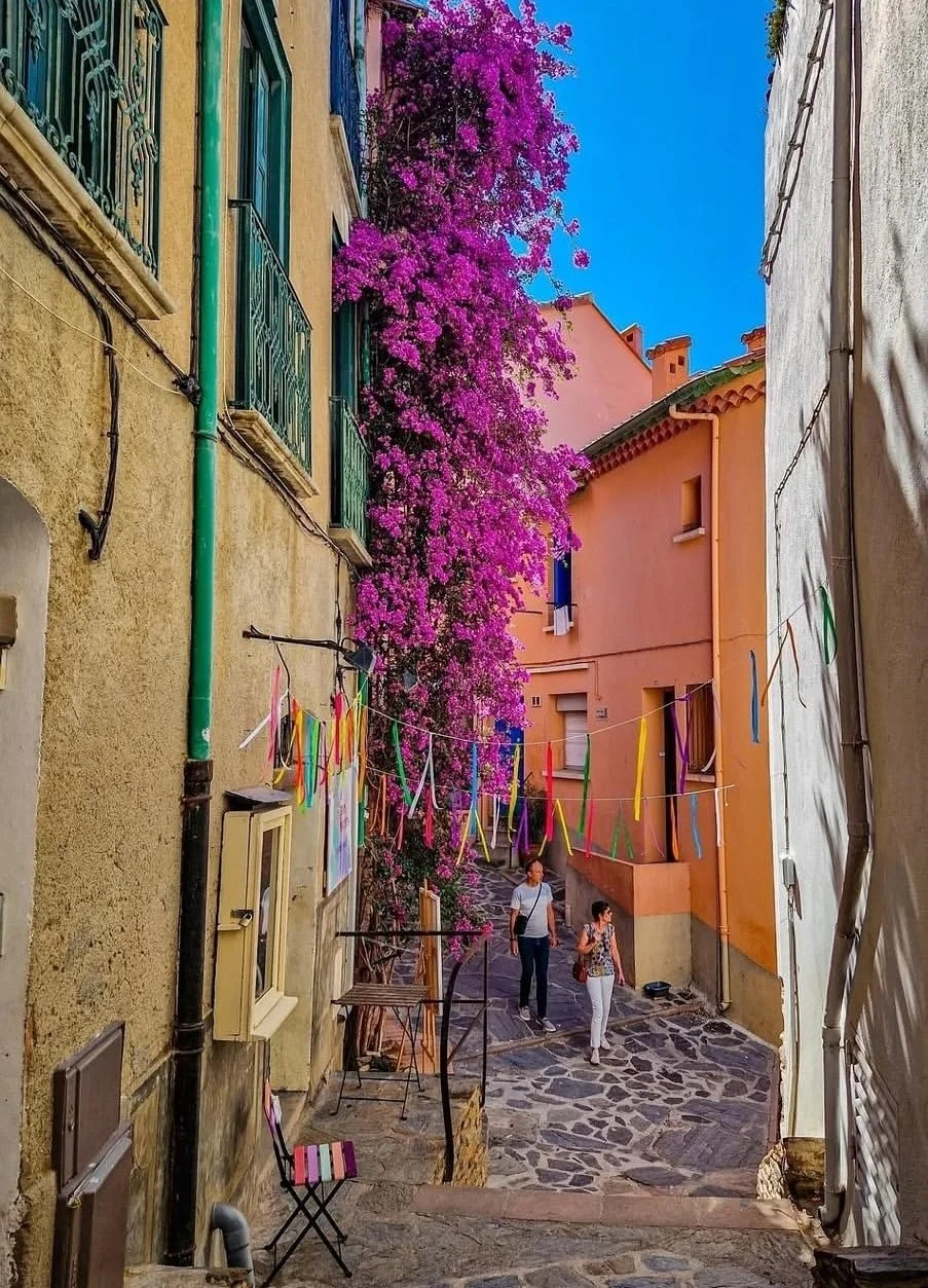 summer dream in Collioure