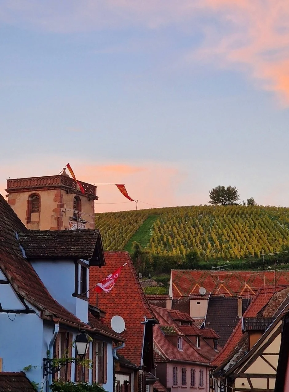 obernai view.jpg