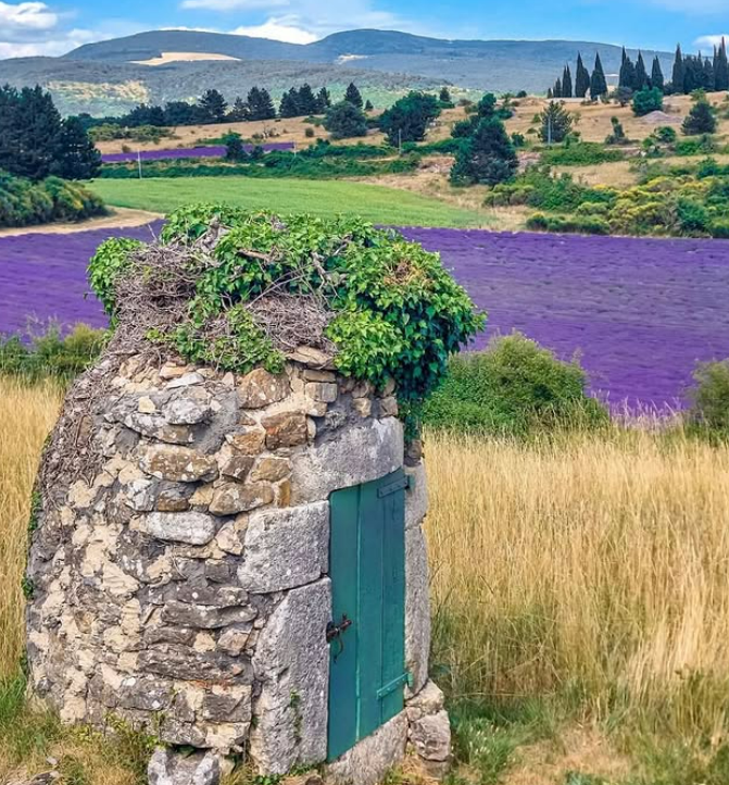 valensole