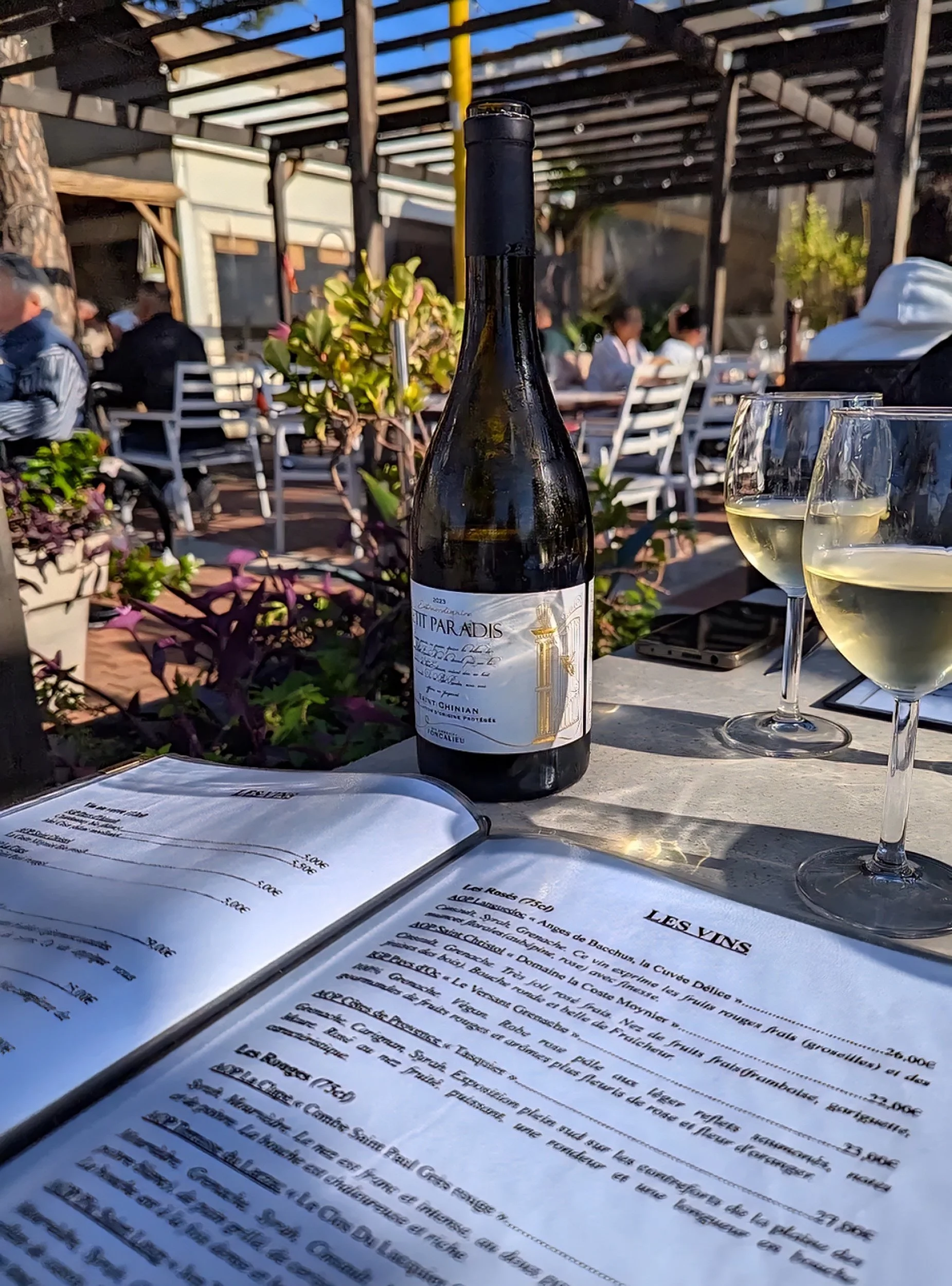 wine bar in Saint-Chinian