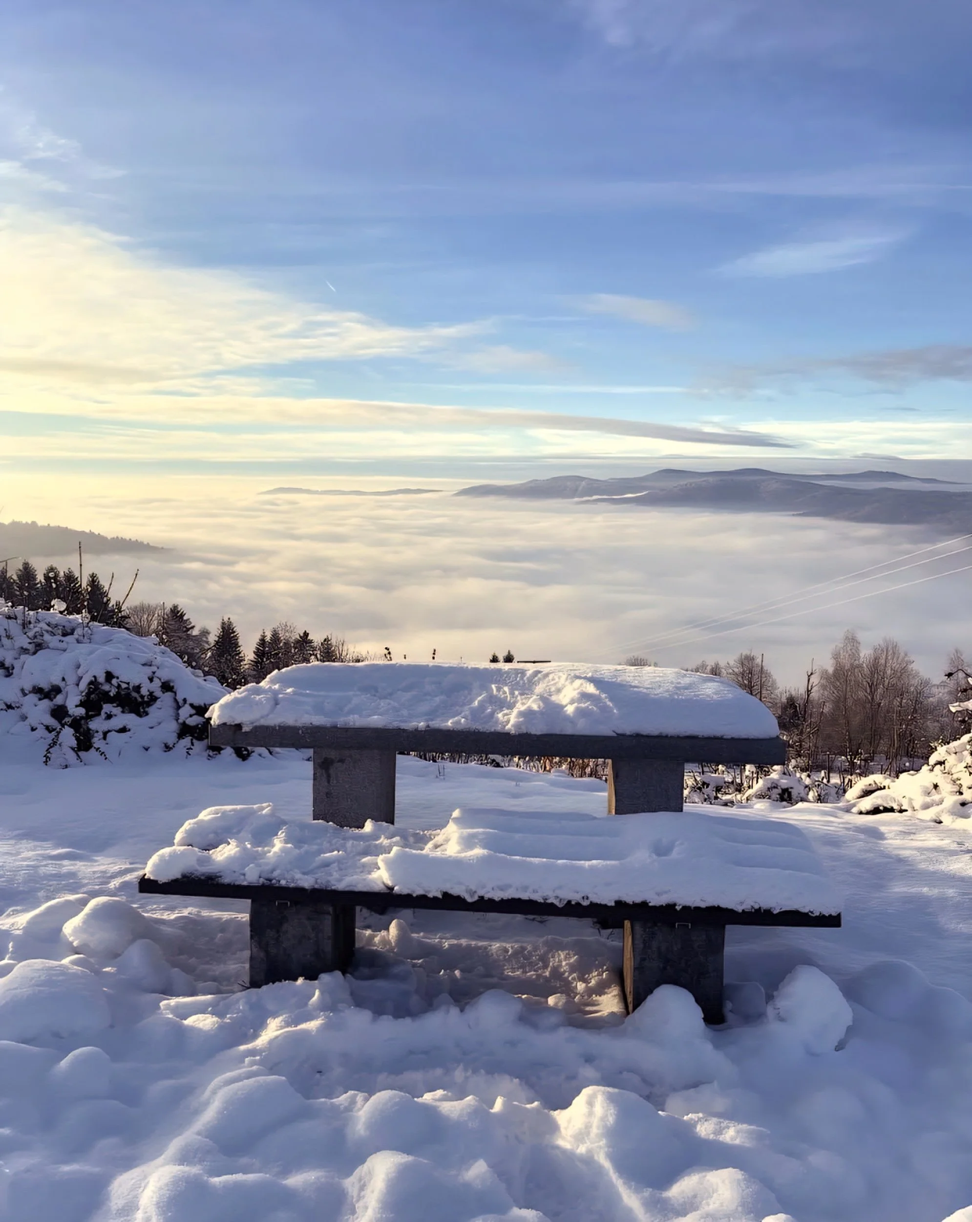 Slow travel through bavaria forest