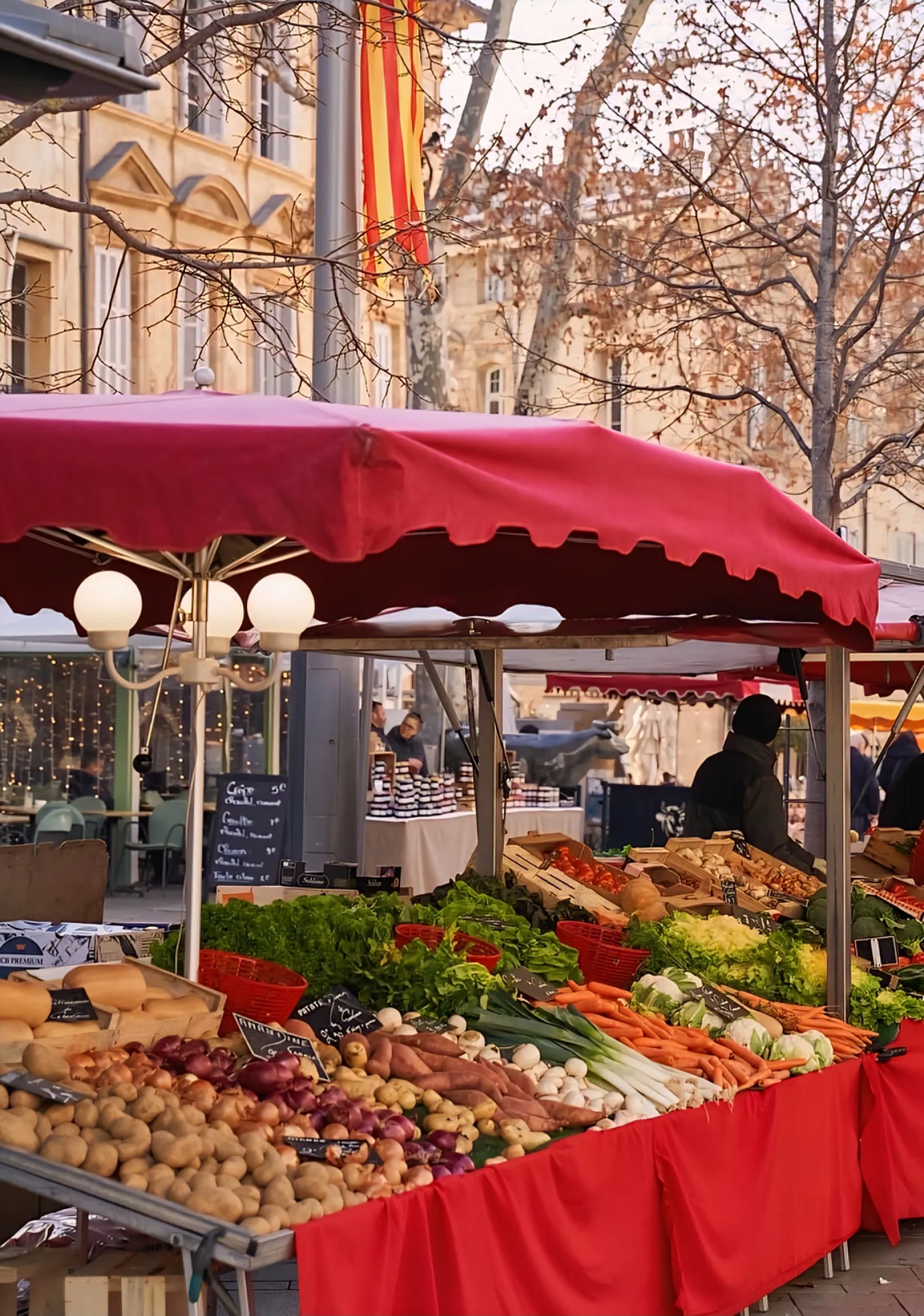 winter marlket in provence