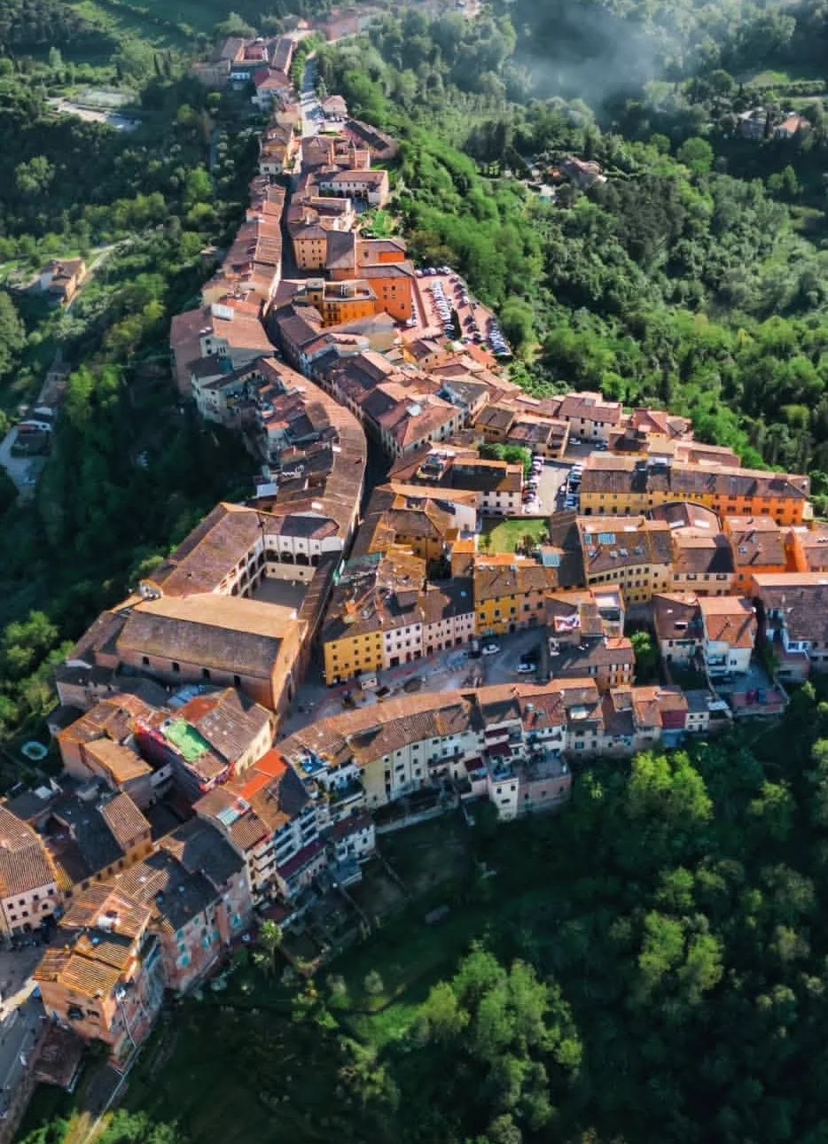 cortona
