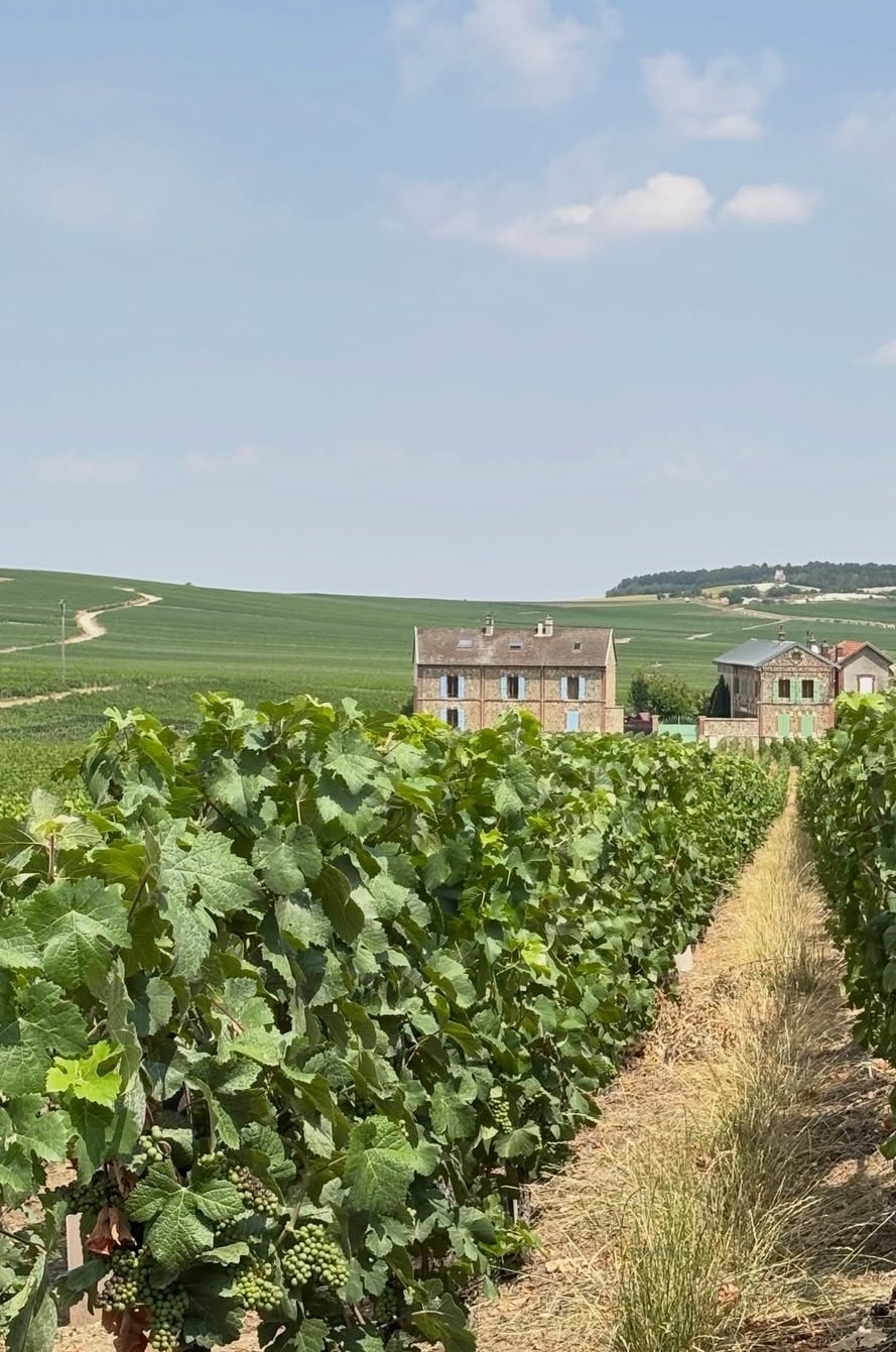 Rilly-la-Montagne