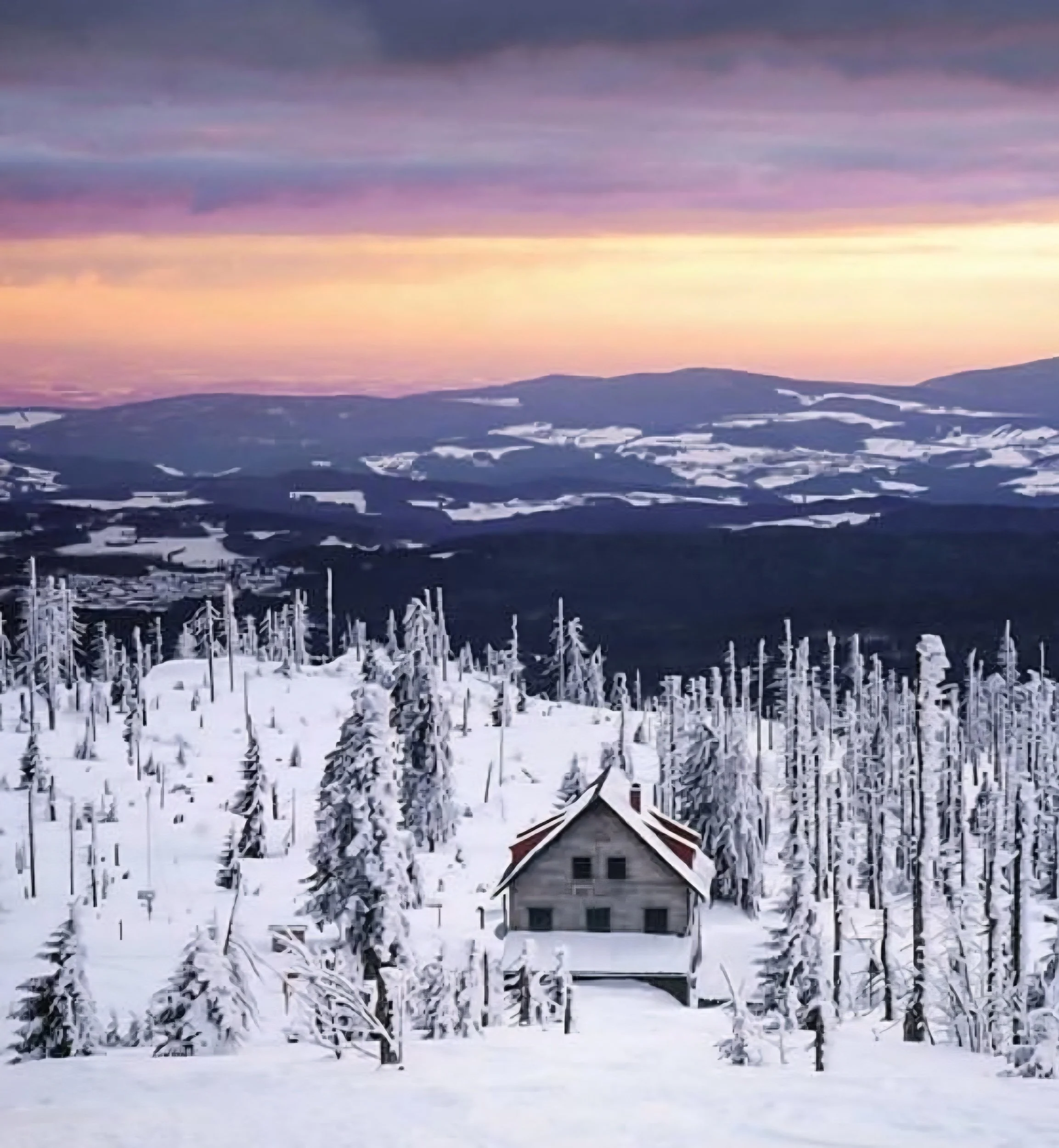 Cozy stay in Bavaria forest.jpg