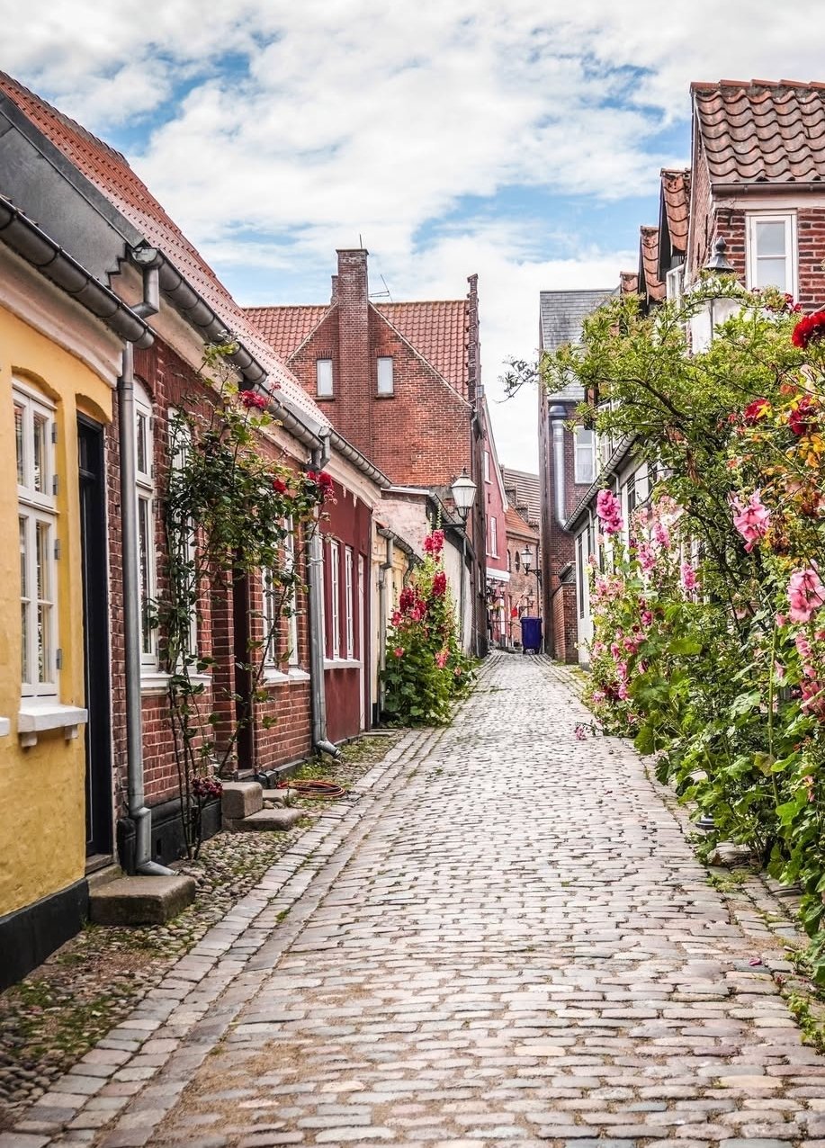 ribe street in denmark
