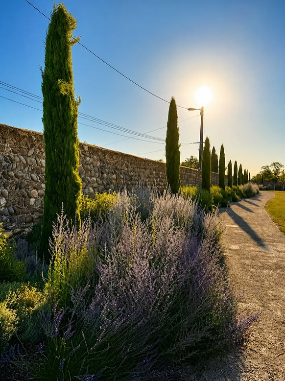 Road in Romans-sur-Isère