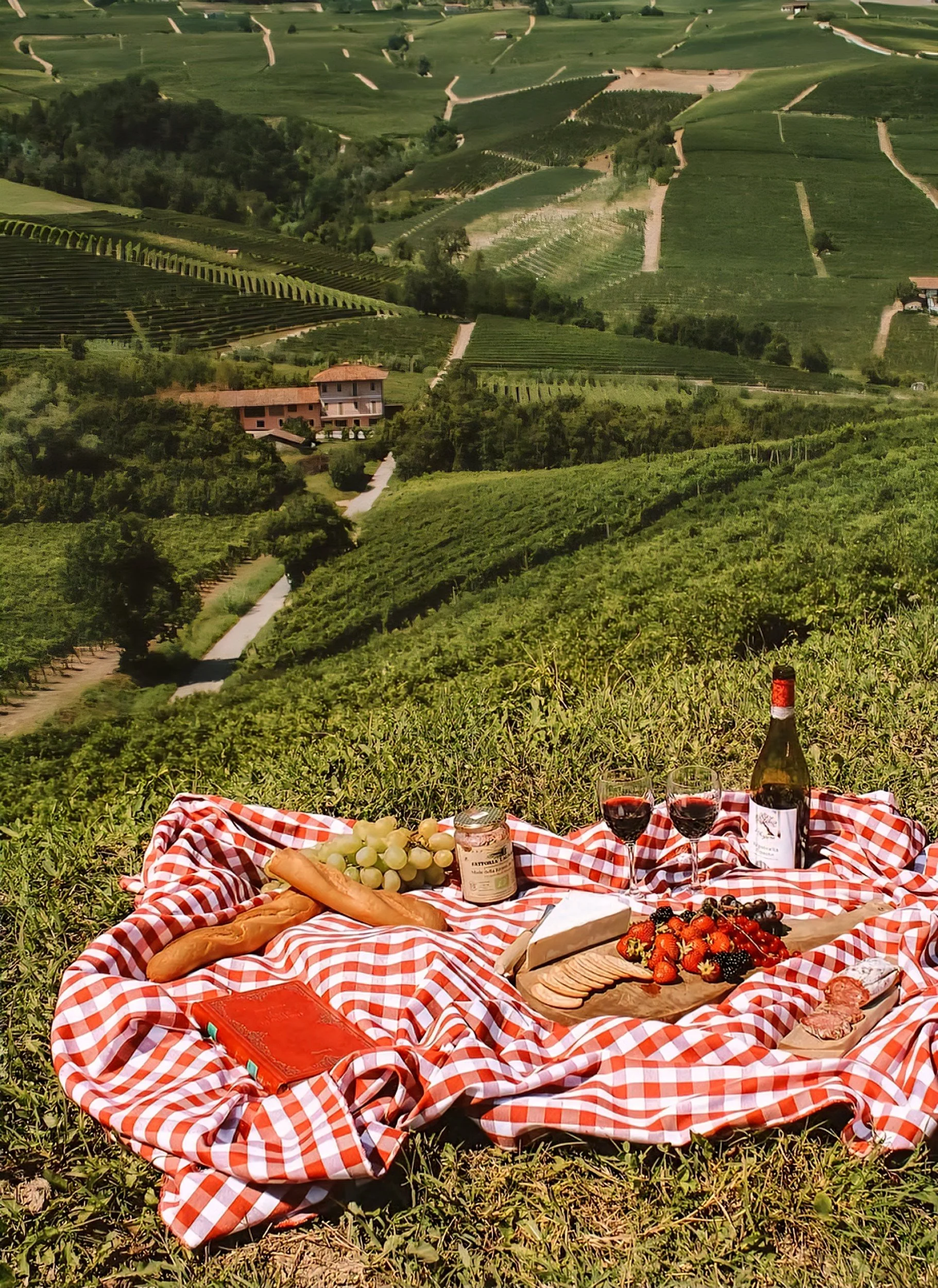 barolo picnic