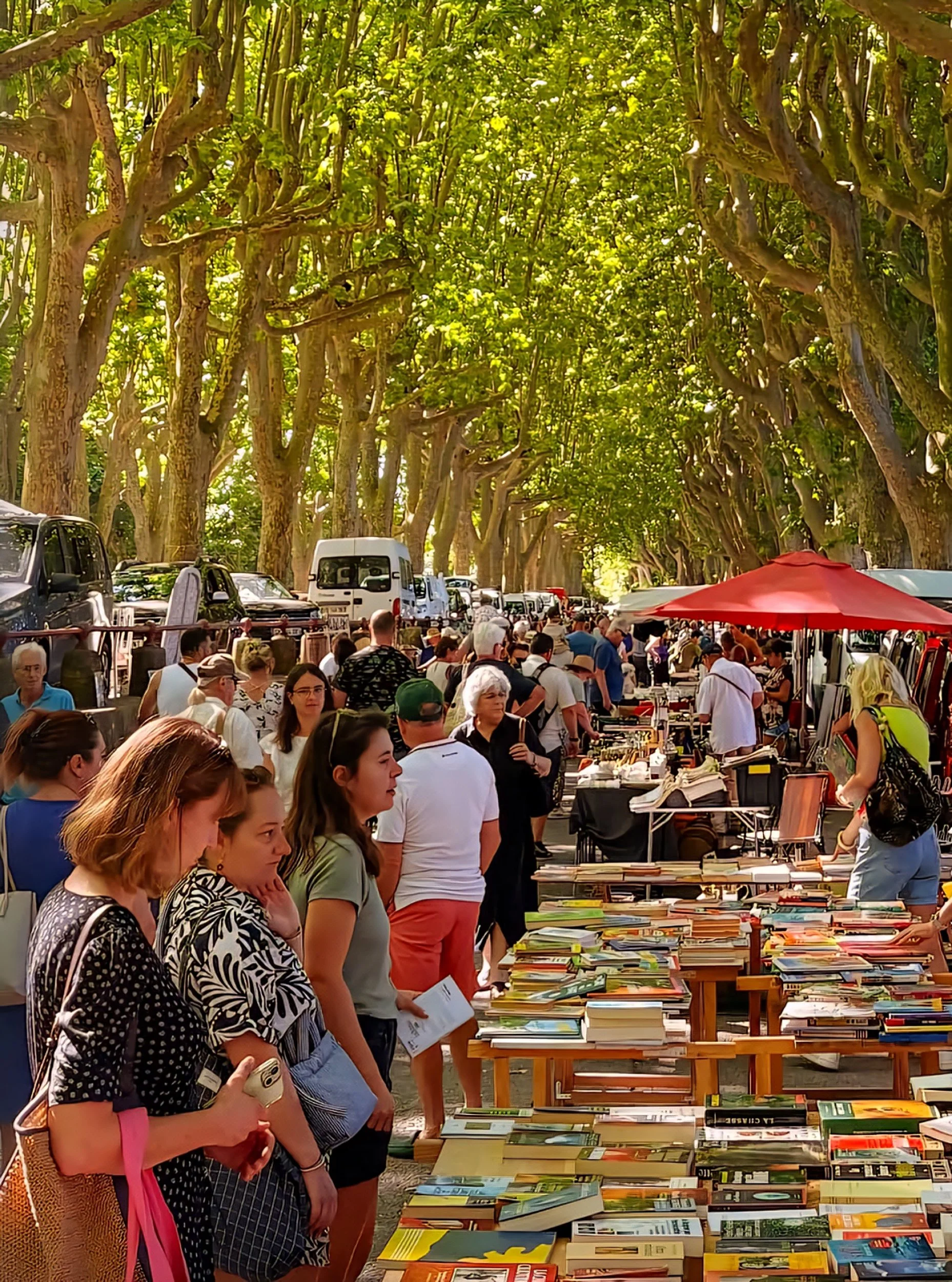 market in Sommières