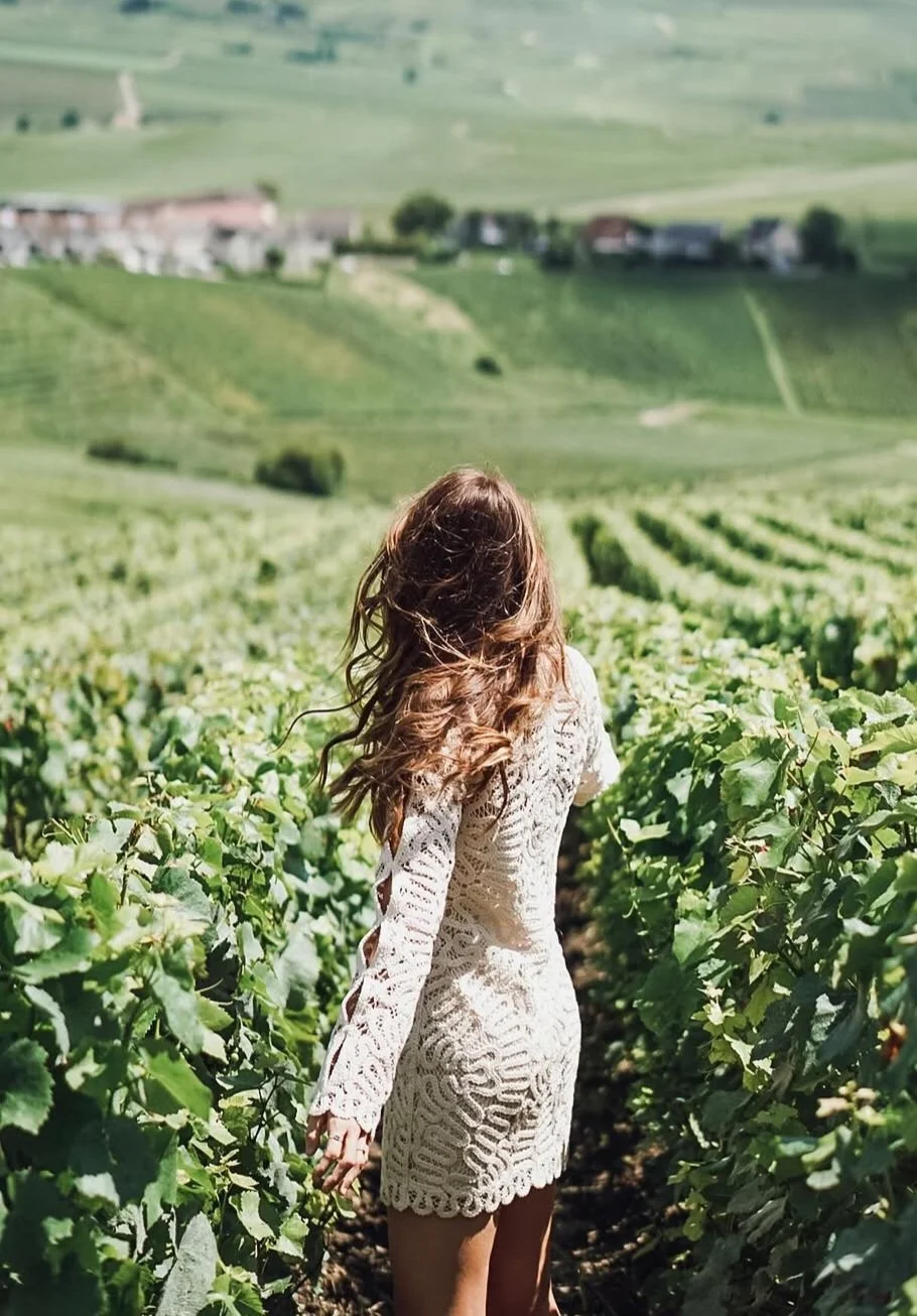 Hautvillers vineyard