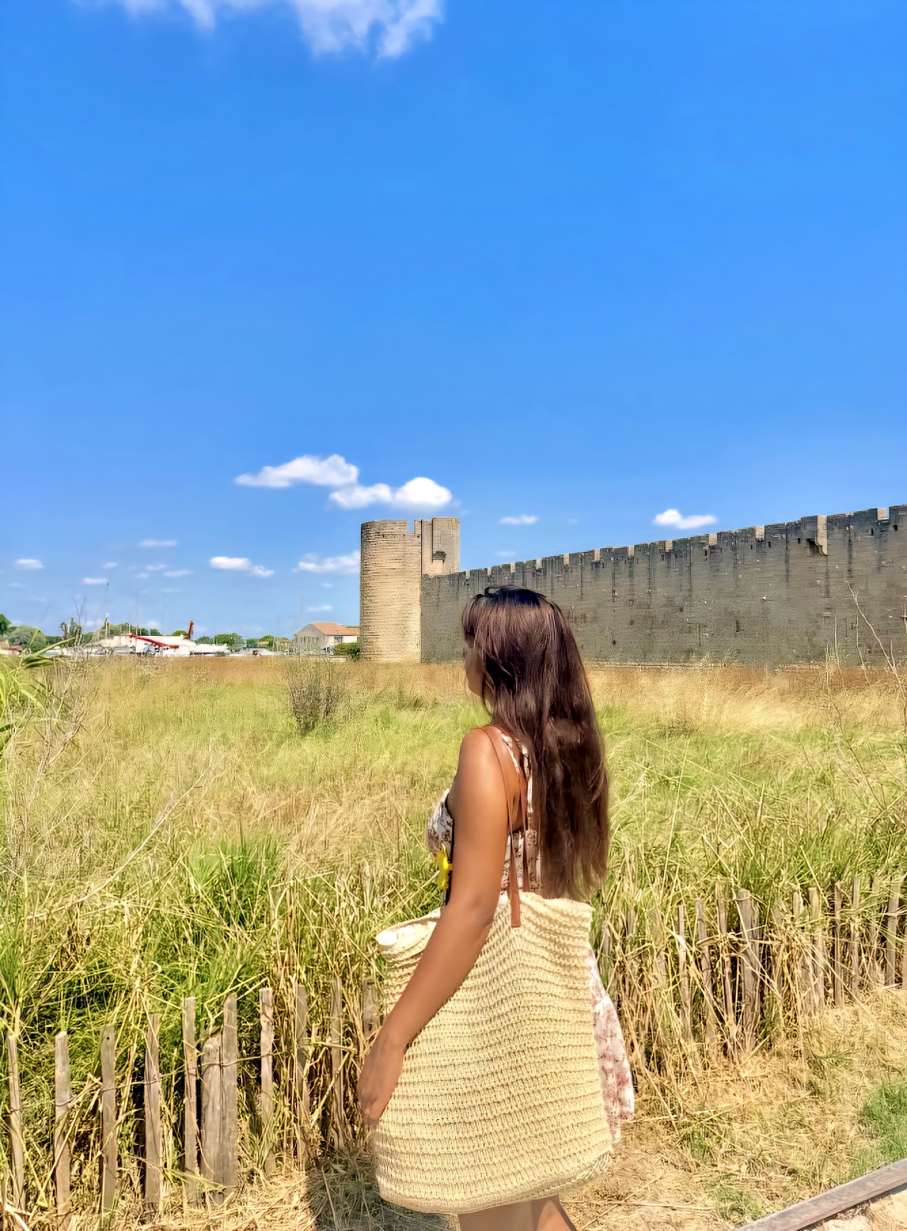 Aigues-Mortes castle