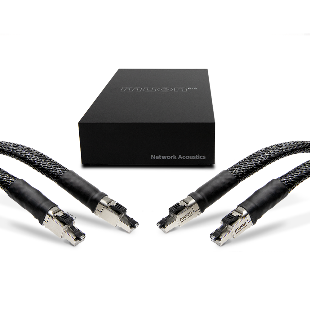 Network Acoustics Muon Pro Streaming System with the Ethernet Filter for Digital Hifi