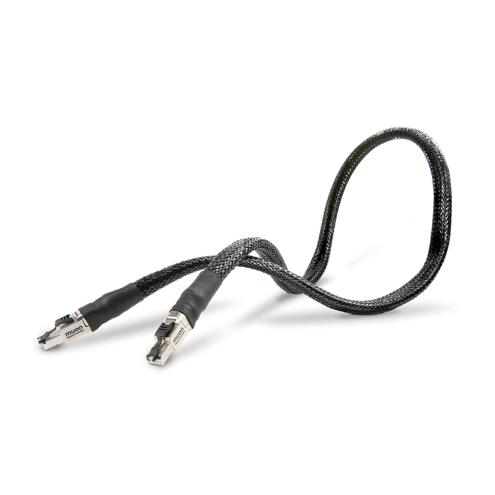 Network Acoustics Muon Pro Streaming System with the Streaming Cable