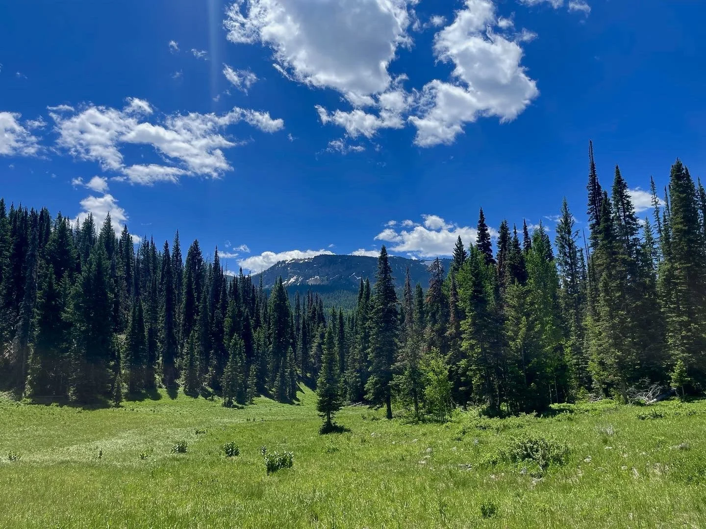 Week 1 - Introduction