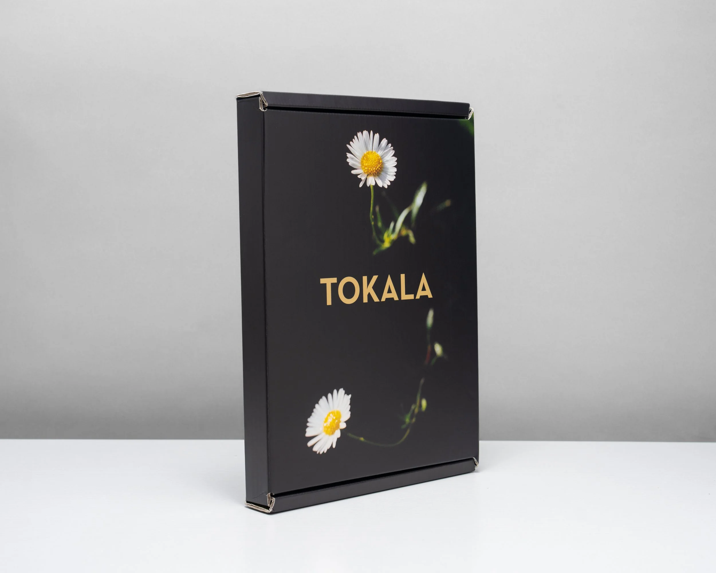 Tokala_Book_Flats-2.jpg