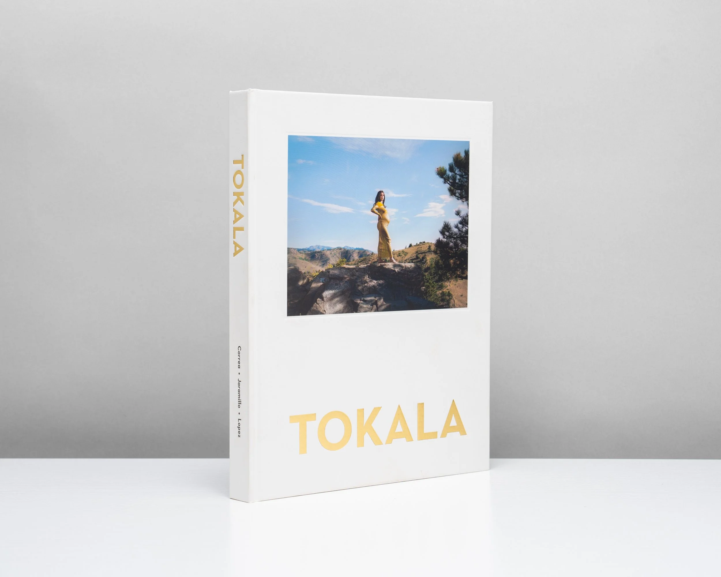 Tokala_Book_Flats-3.jpg