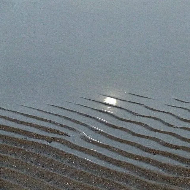 LIVING IN THE GLIMMER 

Things that come with being fully alive in our bodies: 

Joy, connection, creativity, self-expression

When we start tuning into the feelings aliveness, we can be more focused in our glimmers and the things that feel good. By 