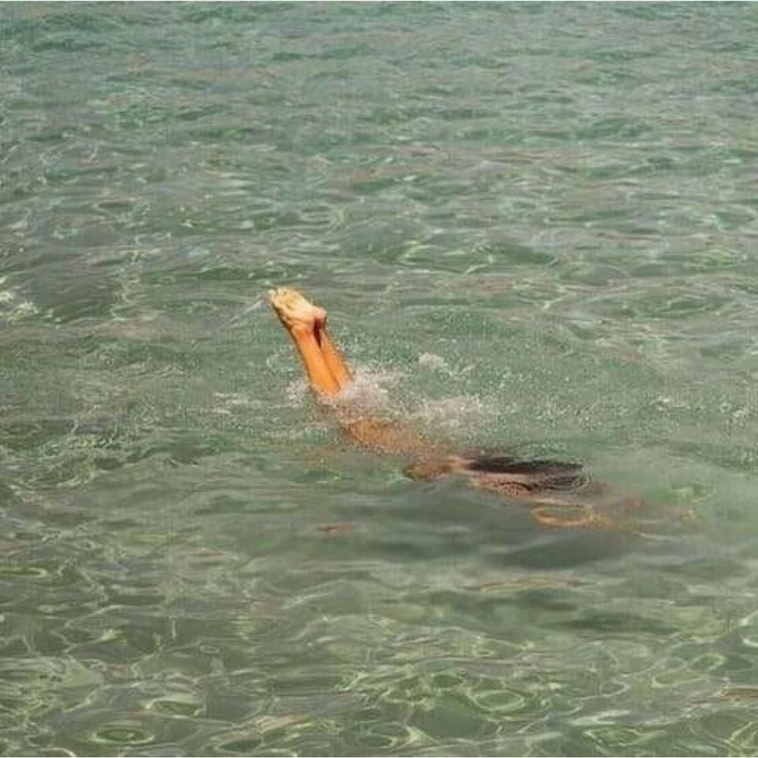 We repeat patterns of familiarity (including subconscious ones).

Next time you find yourself judging, talking down , or criticizing  yourself due to inability to change a habit, pattern or behavior overnight, remember that your mind-body has deemed 