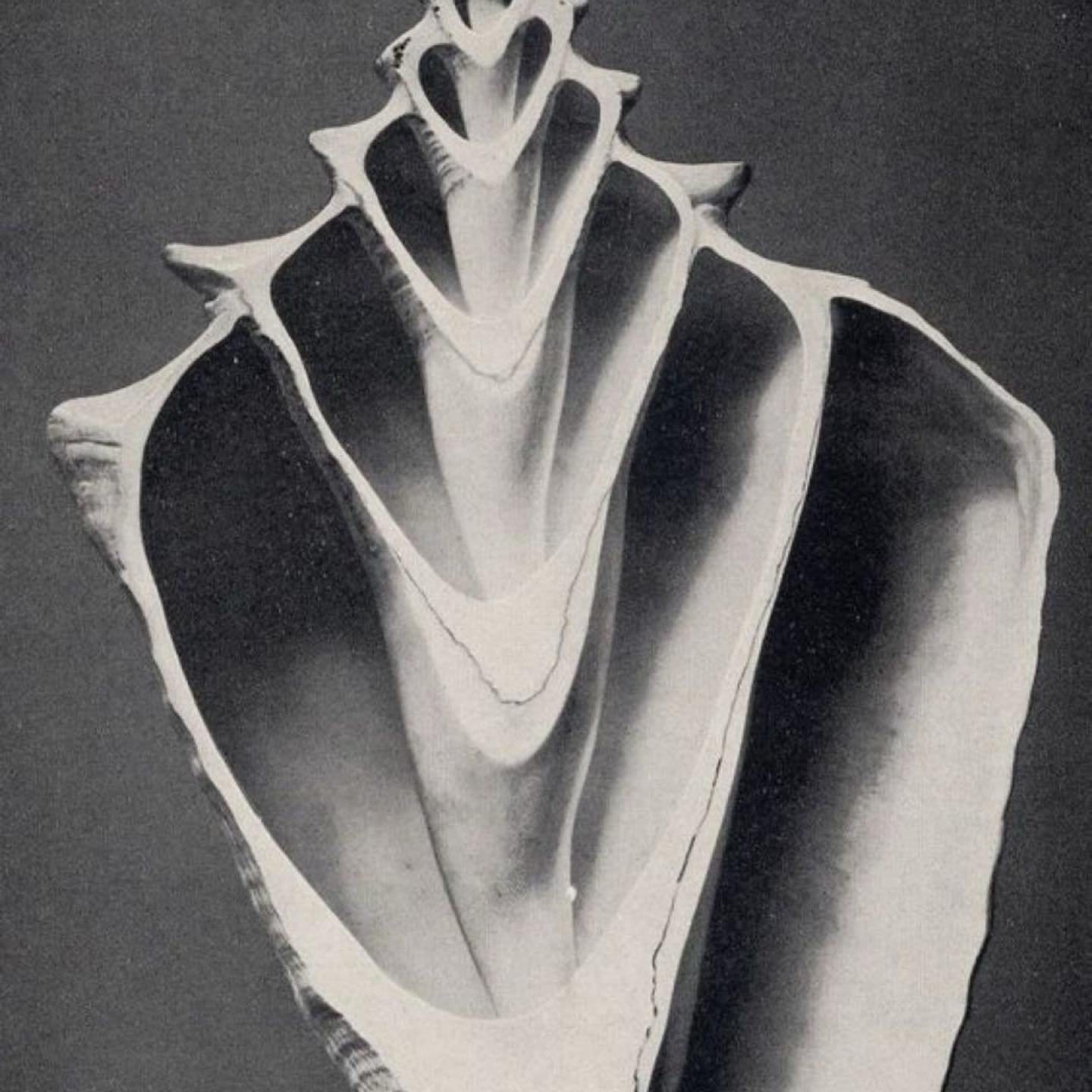 Embodiment means that we are continually engaged in practices and actions both subconsciously or consciously. What we embody &ldquo;shapes&rdquo; us, informing how we feel, think, act and show up in the world.

Peeling back layers of the onion can lo