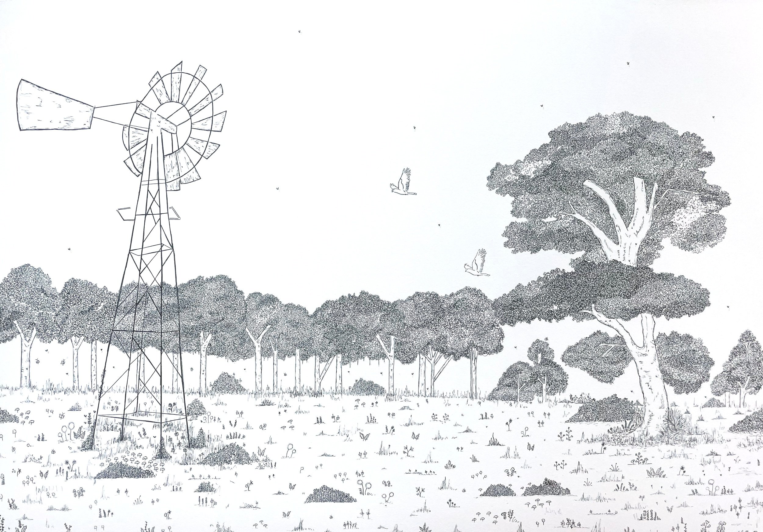 Enchanted Galah - A1