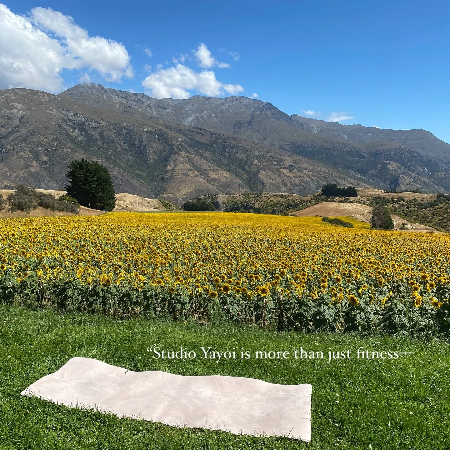 Wellness Experiences by Studio Yayoi&mdash;Designed for retreats, events &amp; brand activations. 

Elevated wellness programming that blends mindful movement with a holistic approach to well-being. From intimate workshops and strength &amp; mobility