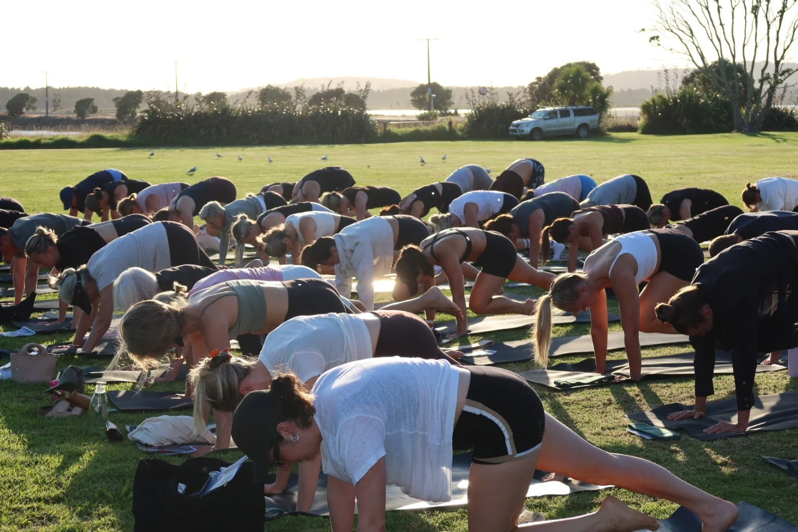 Group of people practicing yoga outdoors on mats in a grassy field during sunset.