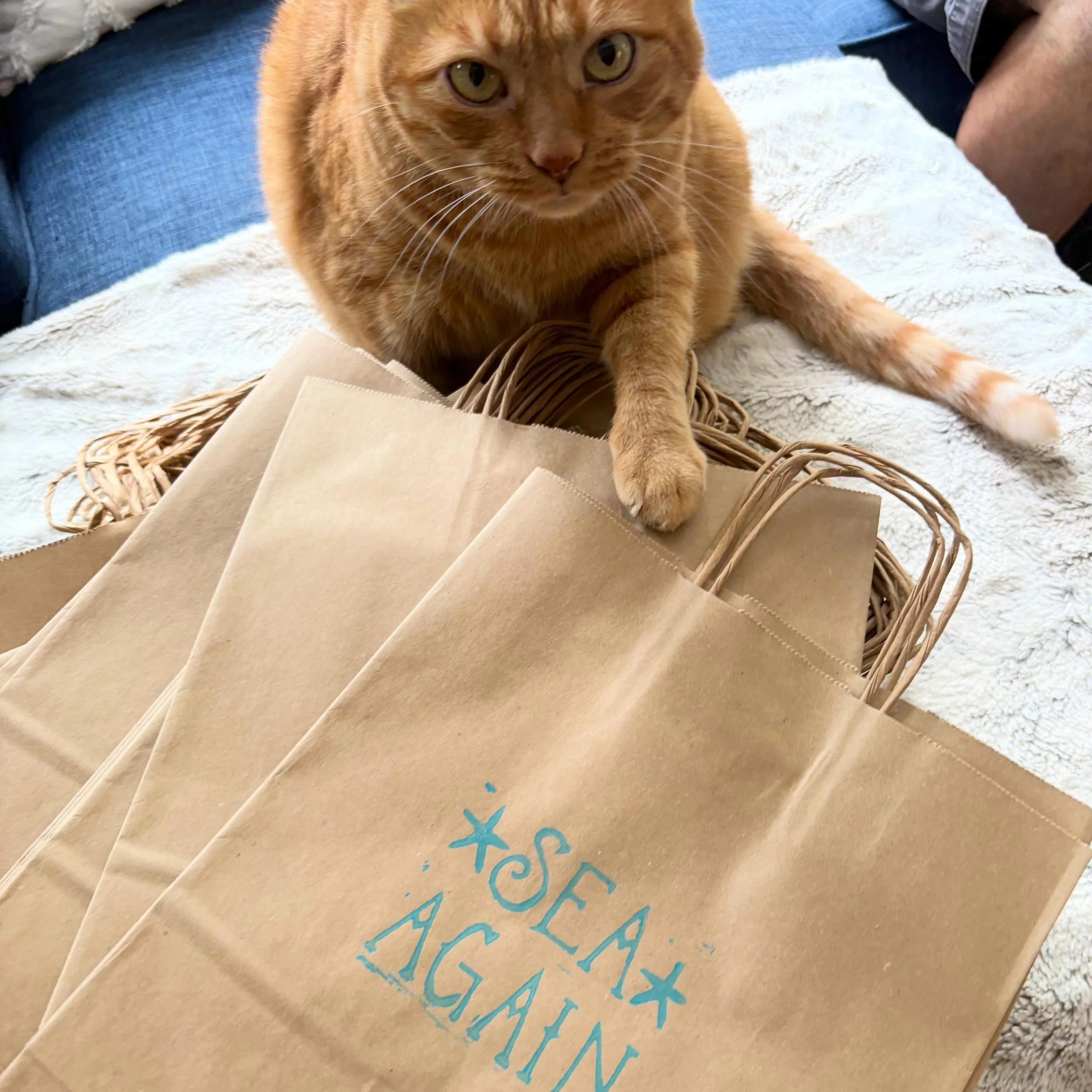 Nala is not judging but she&rsquo;s wondering when was the last time you shopped at Sea Again 😹😺
Her role is bag stamp QC btw
📸: @emrose347