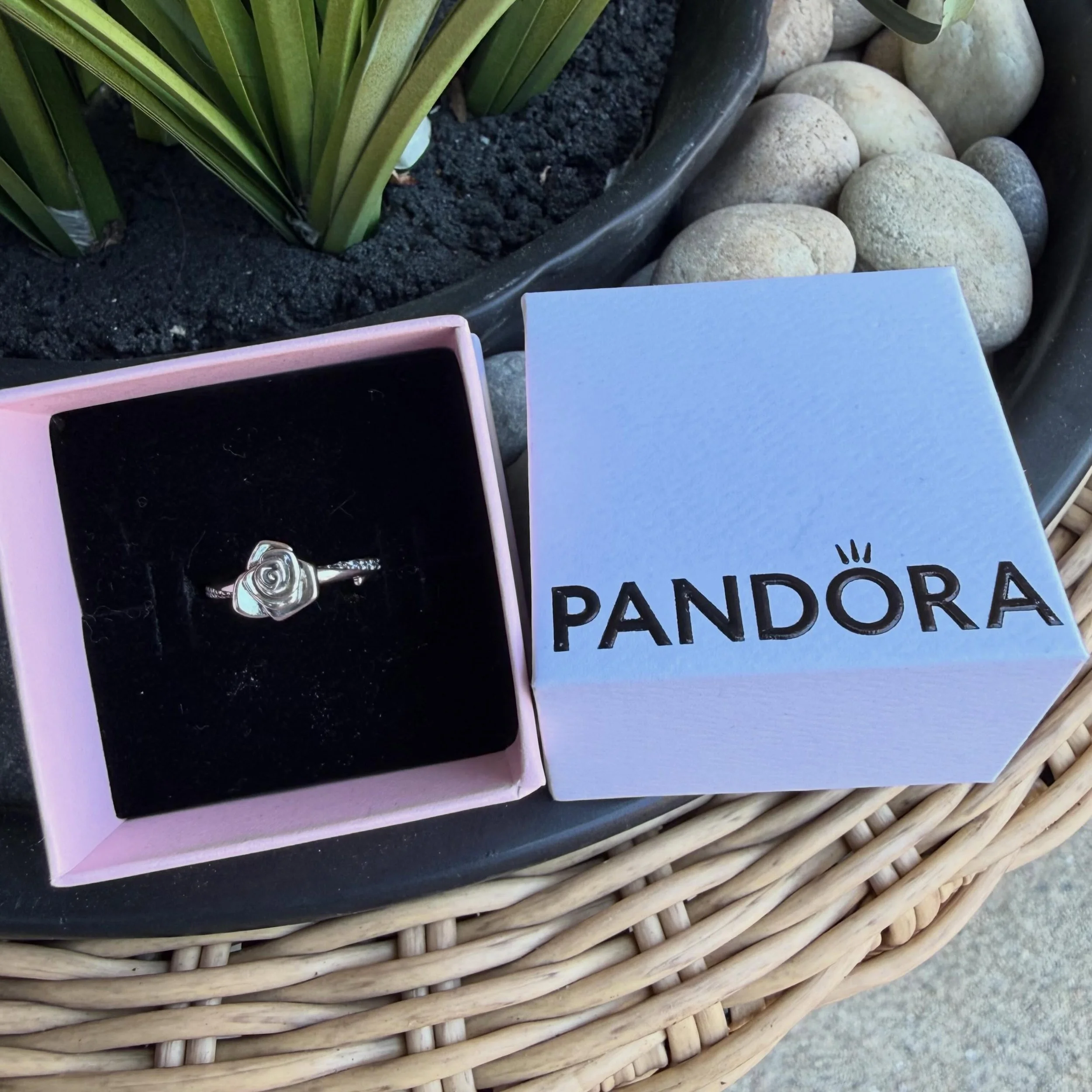 🆕 Rose in Bloom ring 
Sz 7
$50