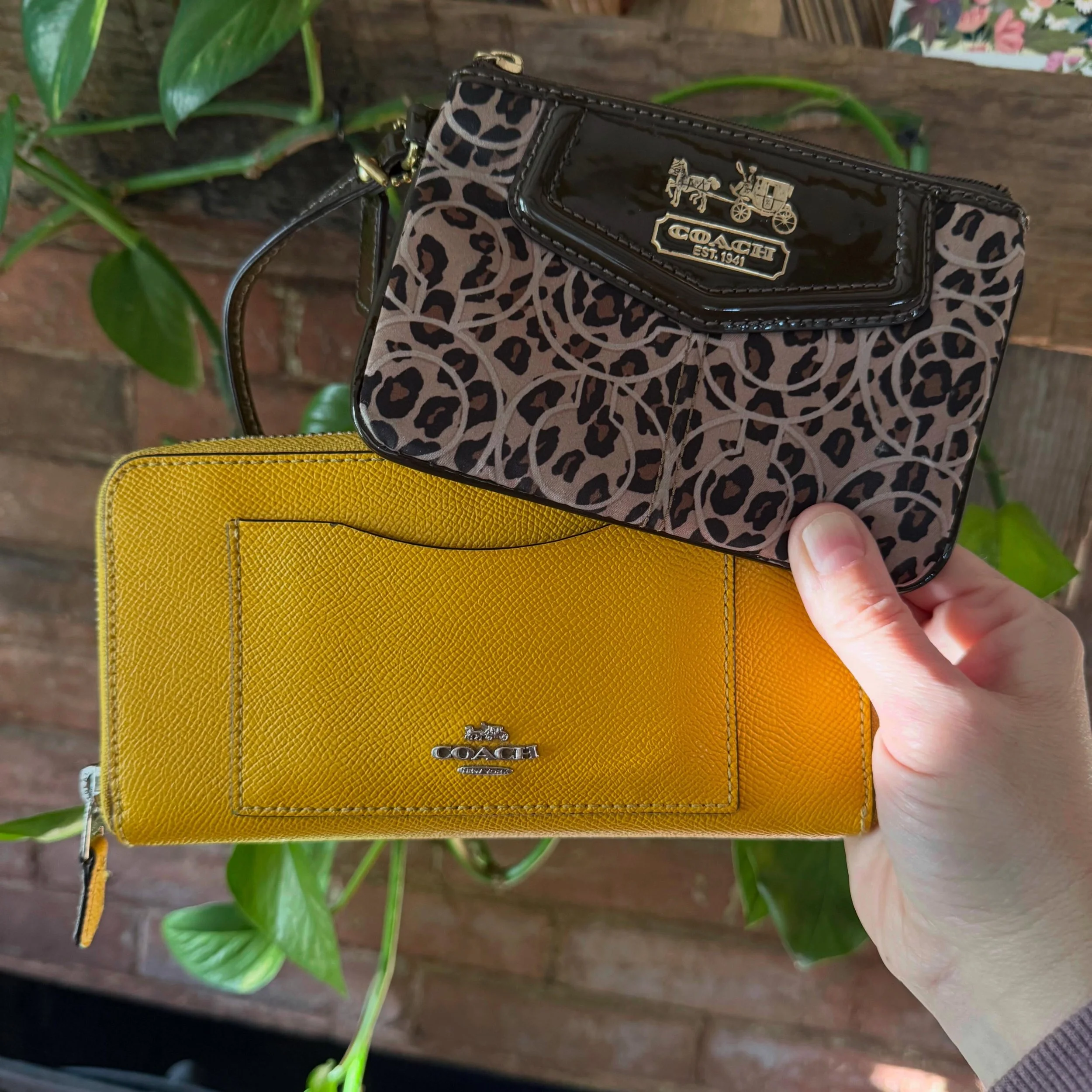 Latest coach small leather goods we&rsquo;ve received. 
Wristlet * $24
Wallet * $45
.
.
$8 shipping continental US
Free shipping for purchases over $100
.
.
FOLLOW OUR BACKUP ACCOUNT: @seaagainconsignment