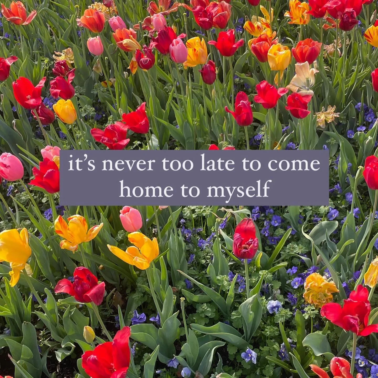 affirmations for your day ✨🩷💌 words that I hope nourish your soul. #therapy #kindness #selfcompassion #healing