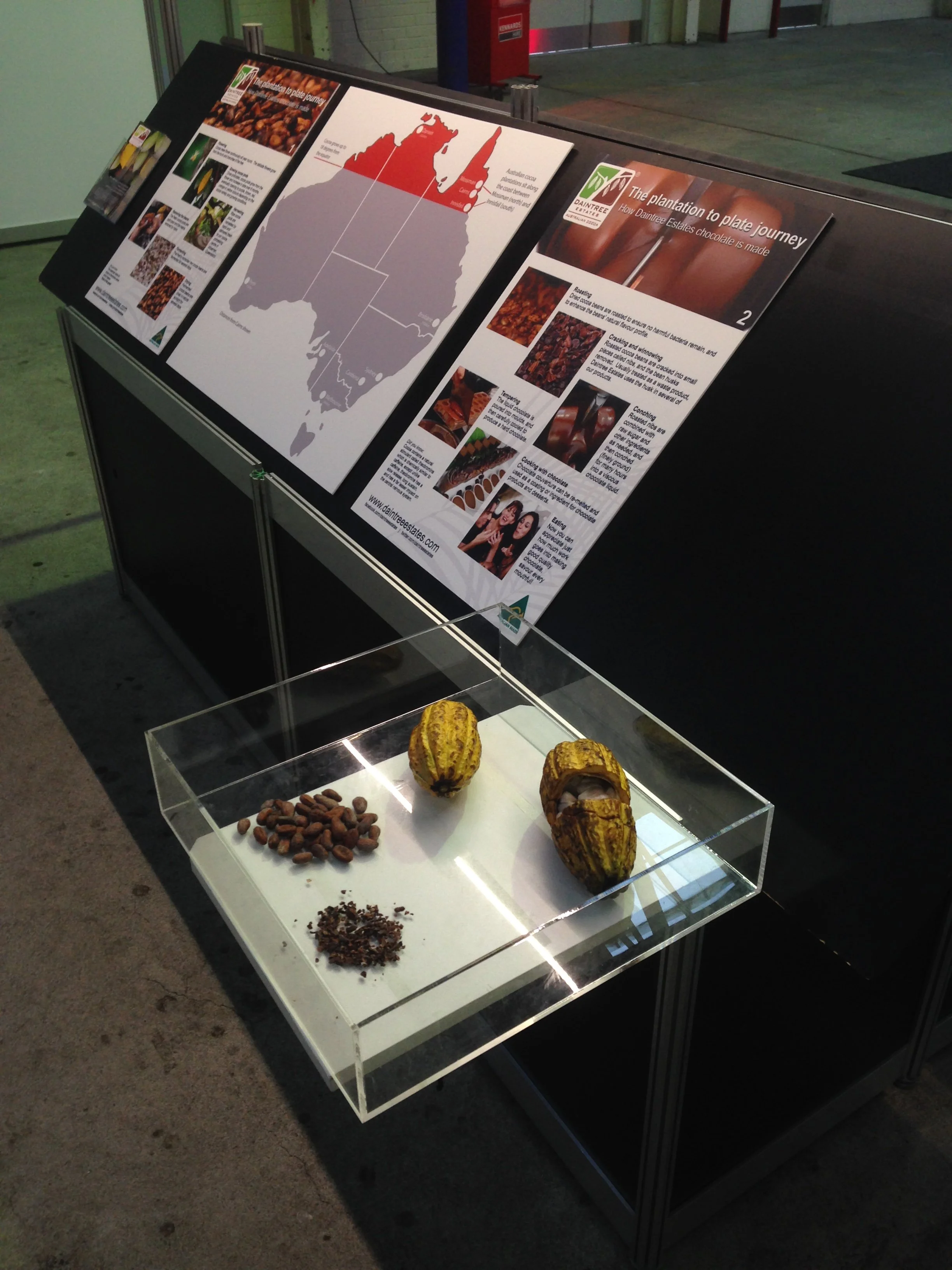 Custom Acrylic Display Case with Printed Graphics
