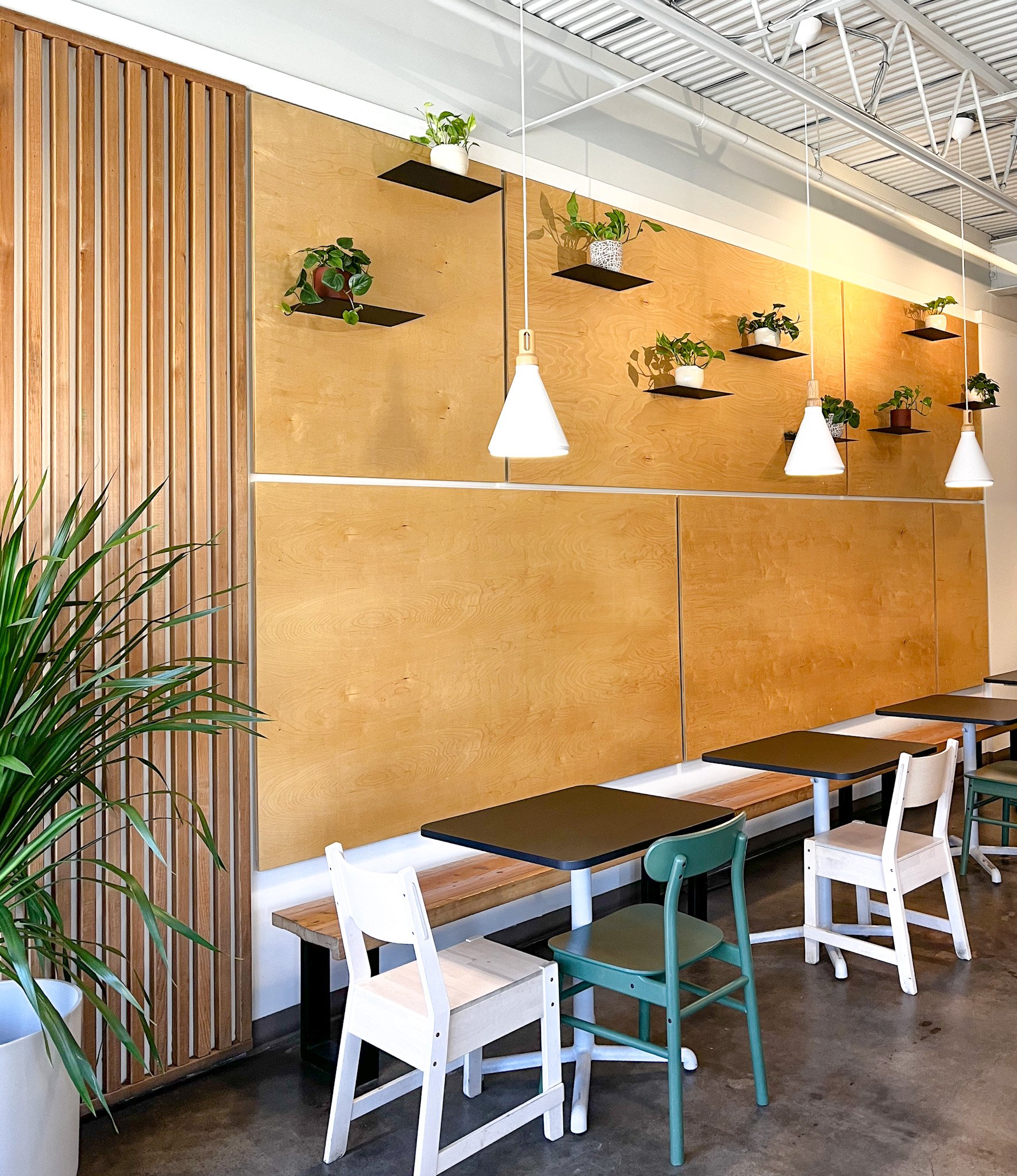 Case Study: Biophyllic Design Installation at Sonder Coffee Bar