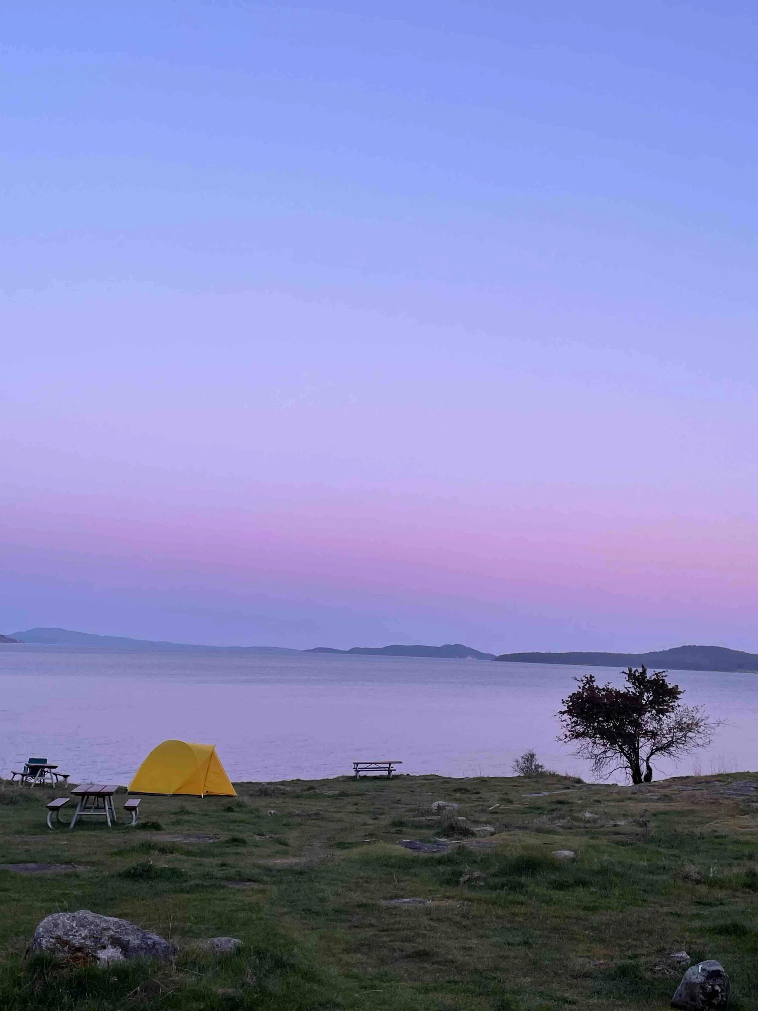 Scenic lakeside campsite with a yellow tent, picnic tables, and a tree under a purple and blue sky during sunset.