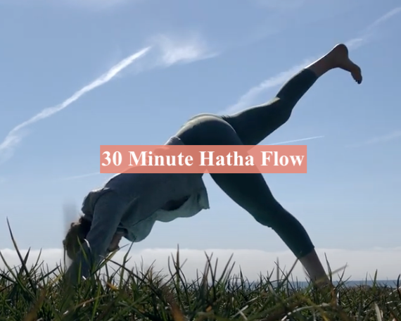 30 Minute Free Hatha Flow Class