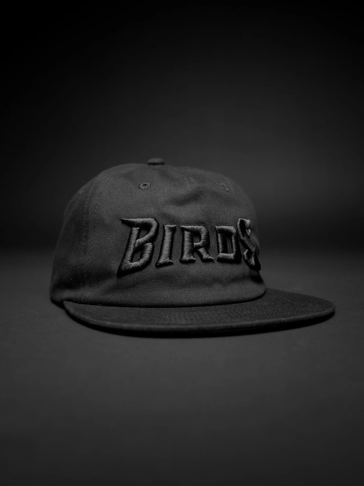BACK IN BLACK. 
Philly, it&rsquo;s time to blackout. Two new designs, our first Bullies piece, the return of the BIRDS hat versions 3 and 4, snapbacks and metal buckles, and a new Two Tone style - all hats available in the shop now! Which is your fav