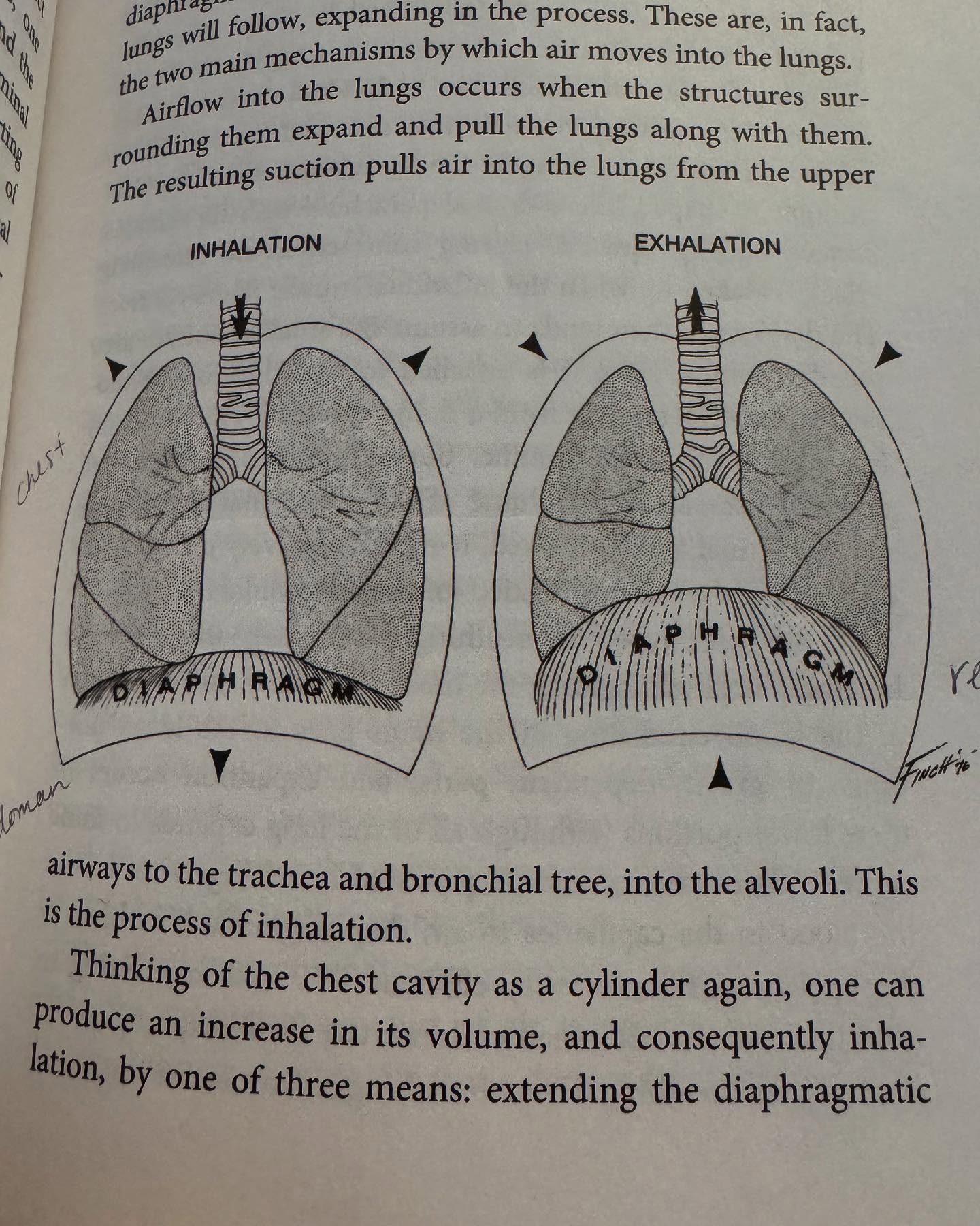 Breathe 🌬️
#breathewithjoyce
#study
#yoga
#observeyourbreath
#itstartsnow
#pranayam
#nadhishodhana
#bandha
#fire
#joy
